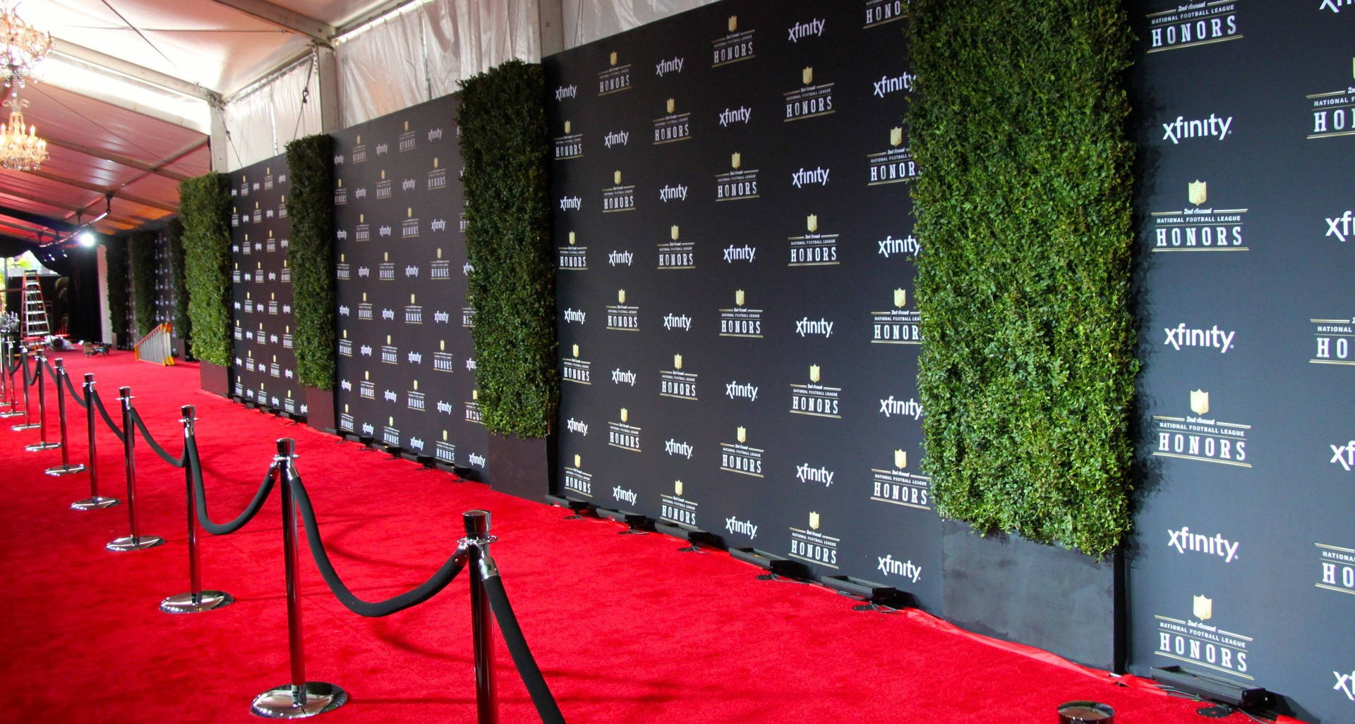 Glamorous Red Carpet Event Under Spotlights Background