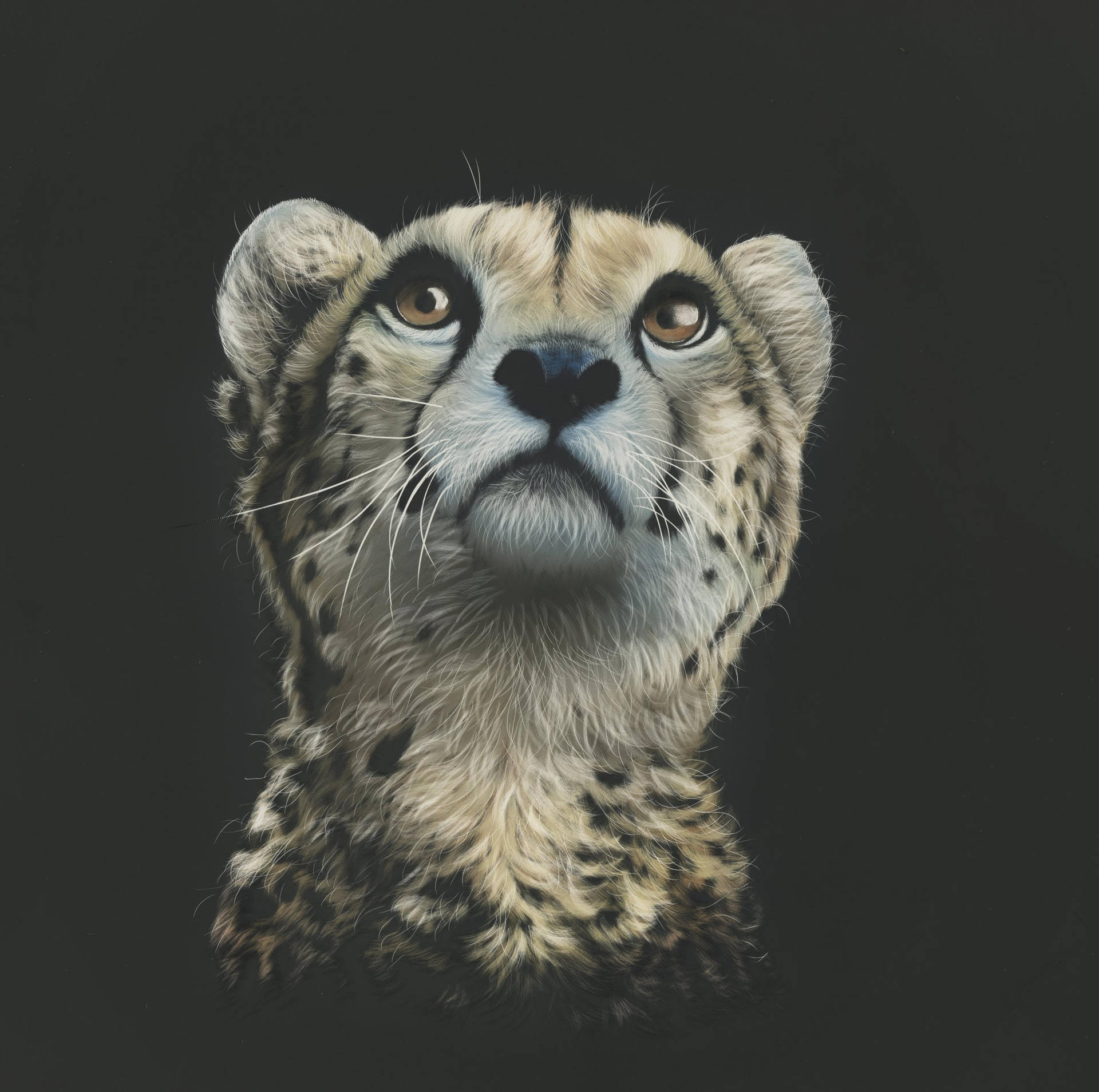 Glancing Cheetah Digital Art Background