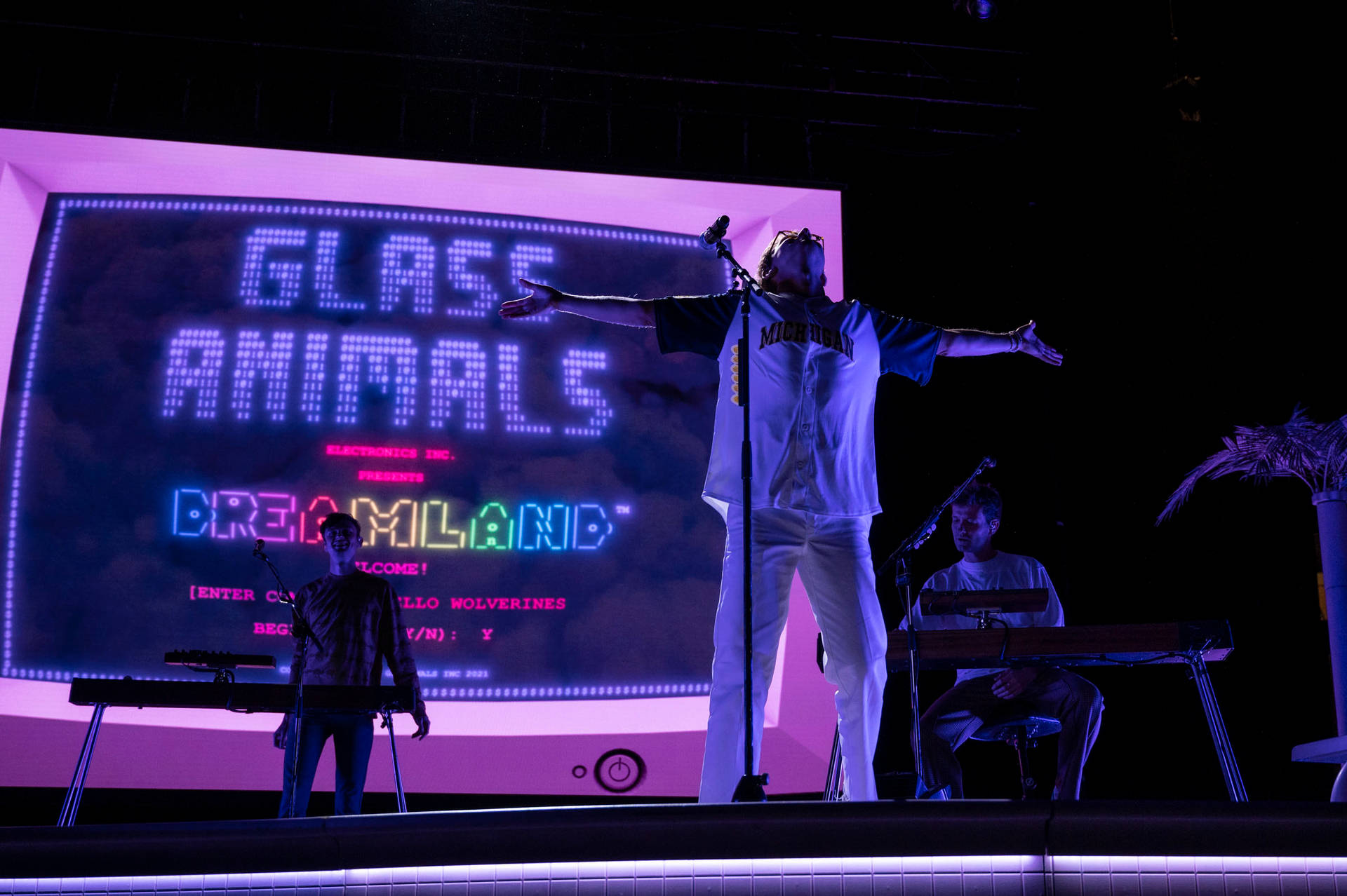 Glass Animals Dreamland
