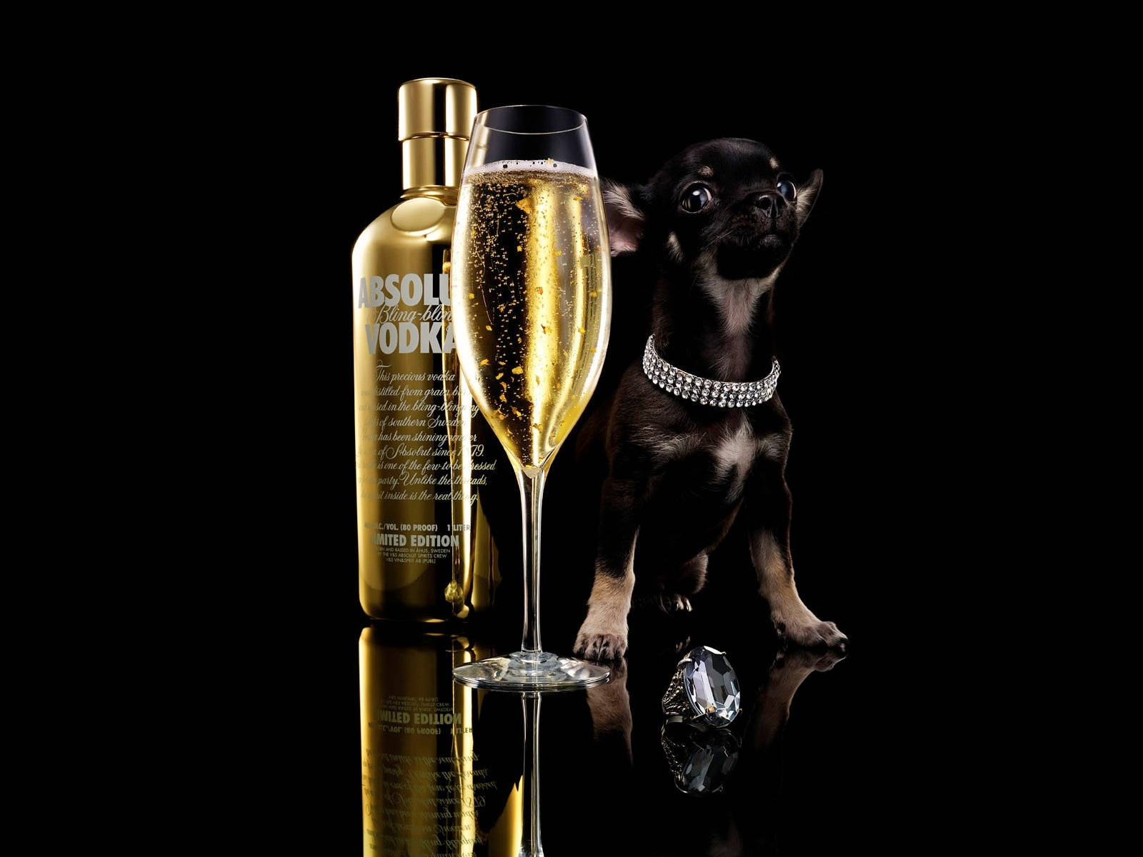 Glass Of Absolut Bling Blong Vodka With Chihuahua