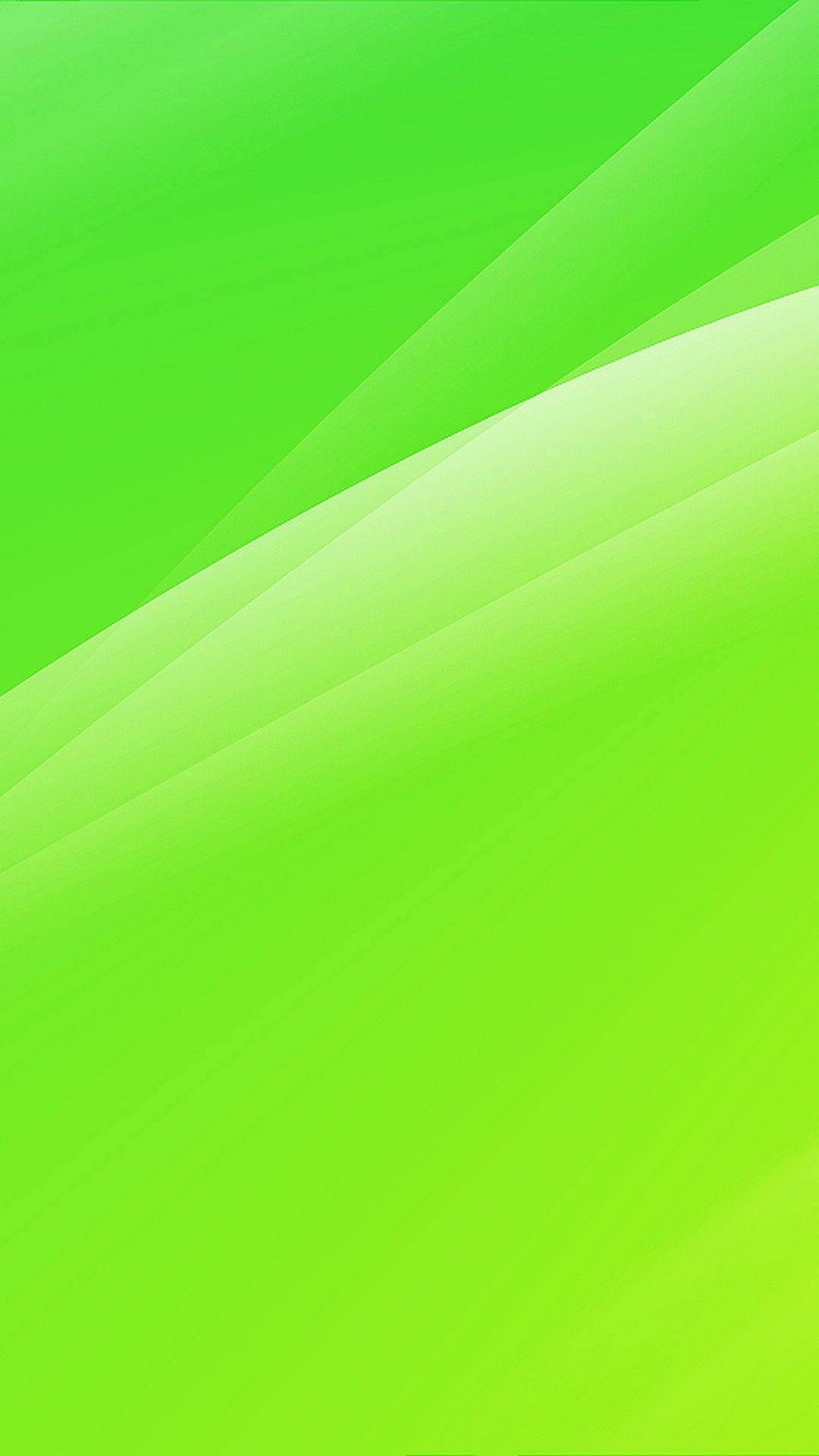 Gleaming Light Green Plain Background