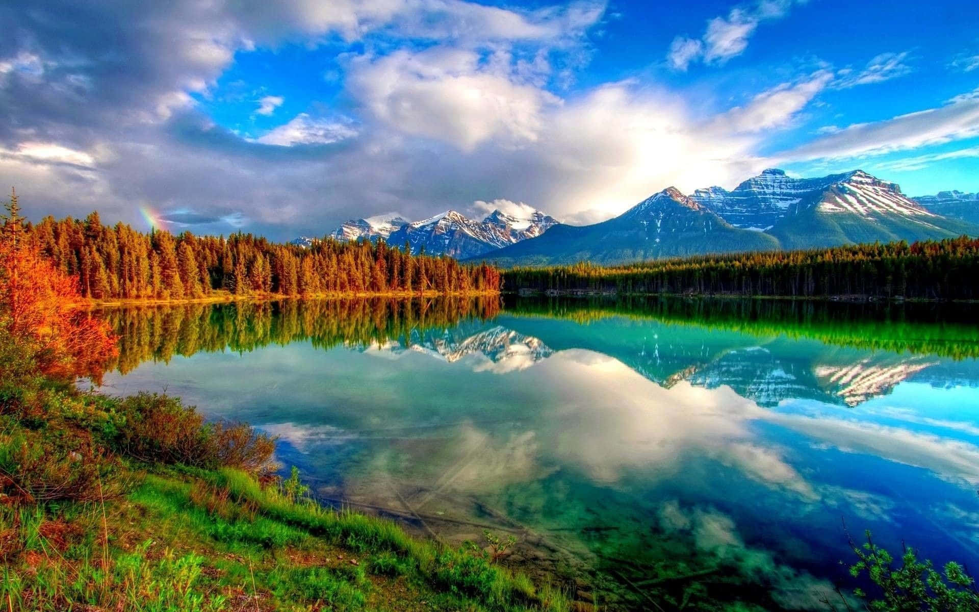 Glimpse The Perfection Of Nature - A Beautiful View Background