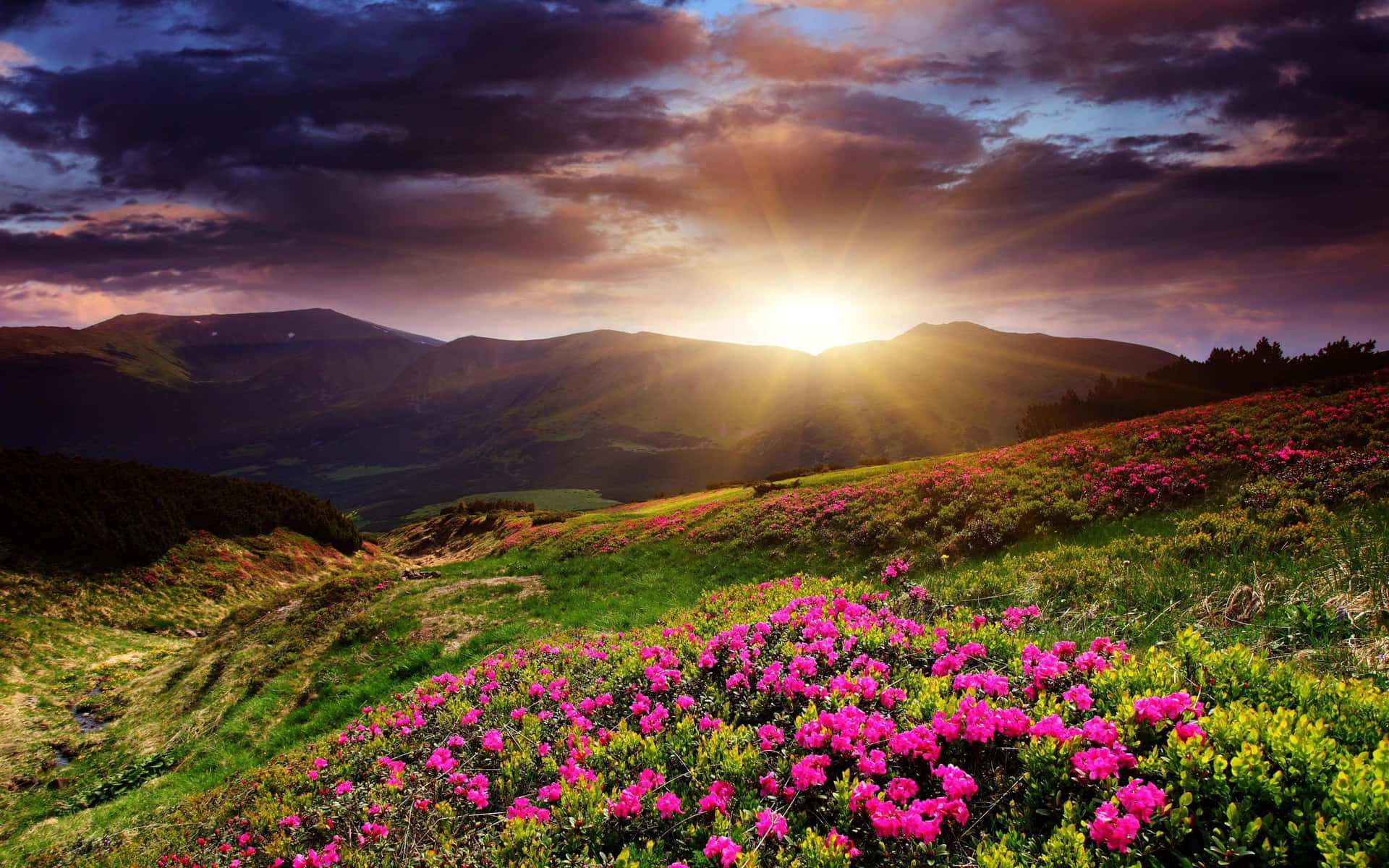Glimpses Of Sunrise As Seen From A Desktop Background