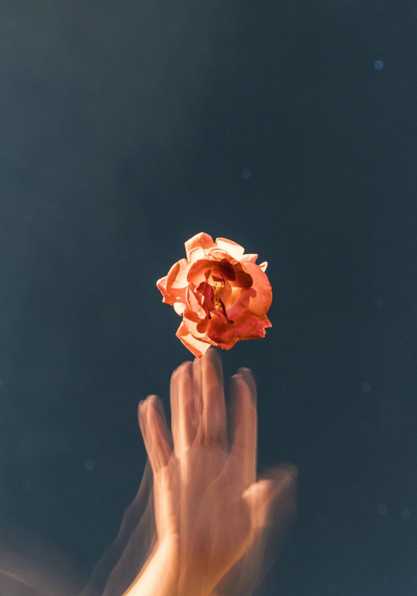 Glitch Orange Rose Aesthetic Background