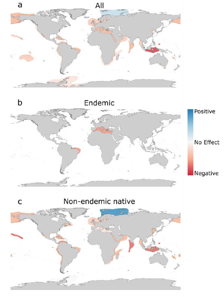 Global Endemic Infographic