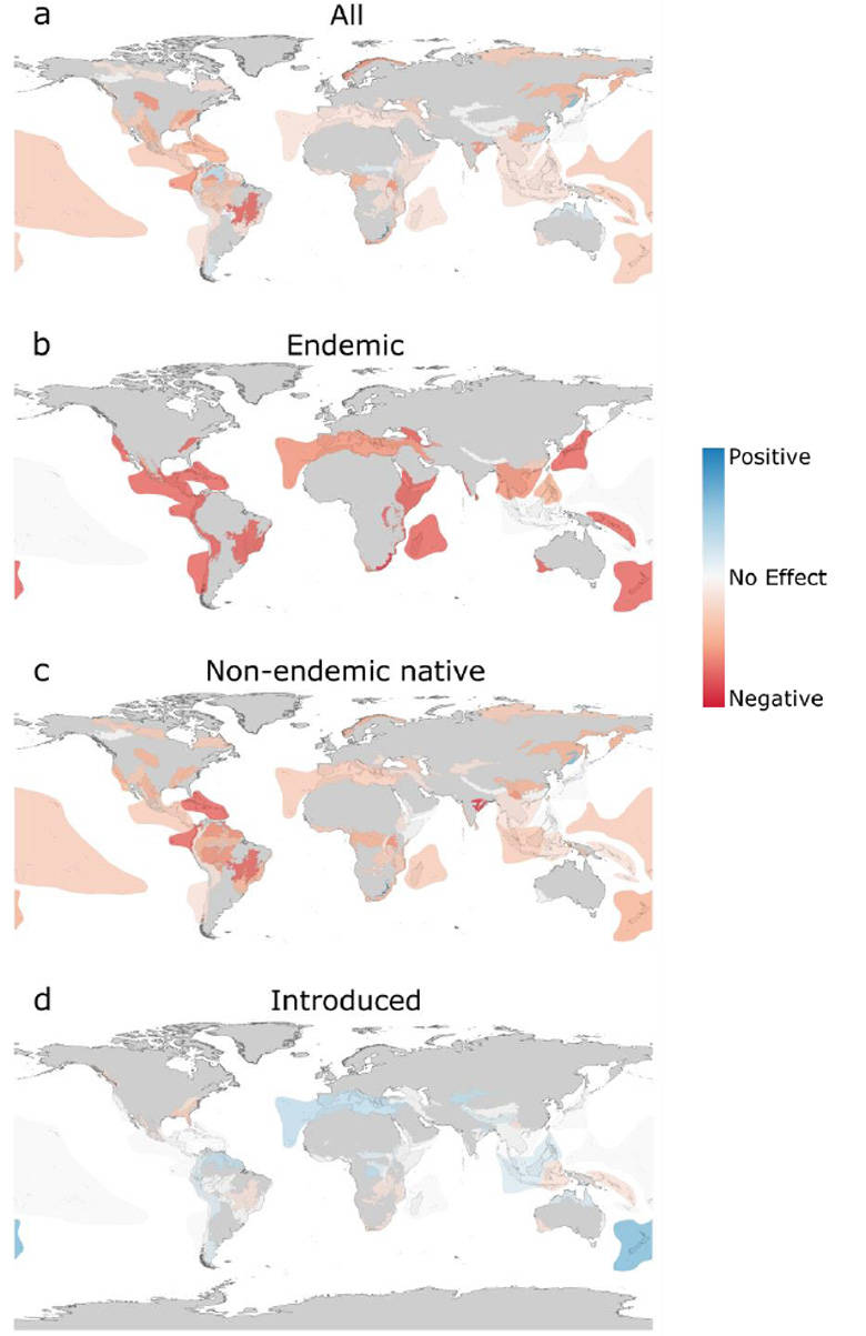 Global Endemic Species Distribution Map Background