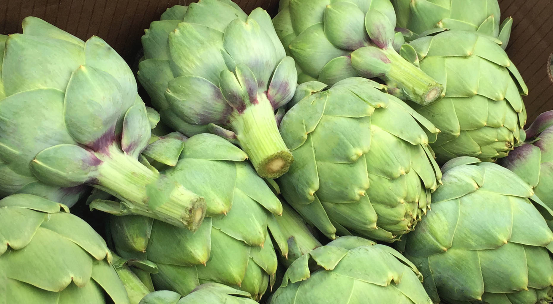 Globe Artichoke Vegetables In A Box