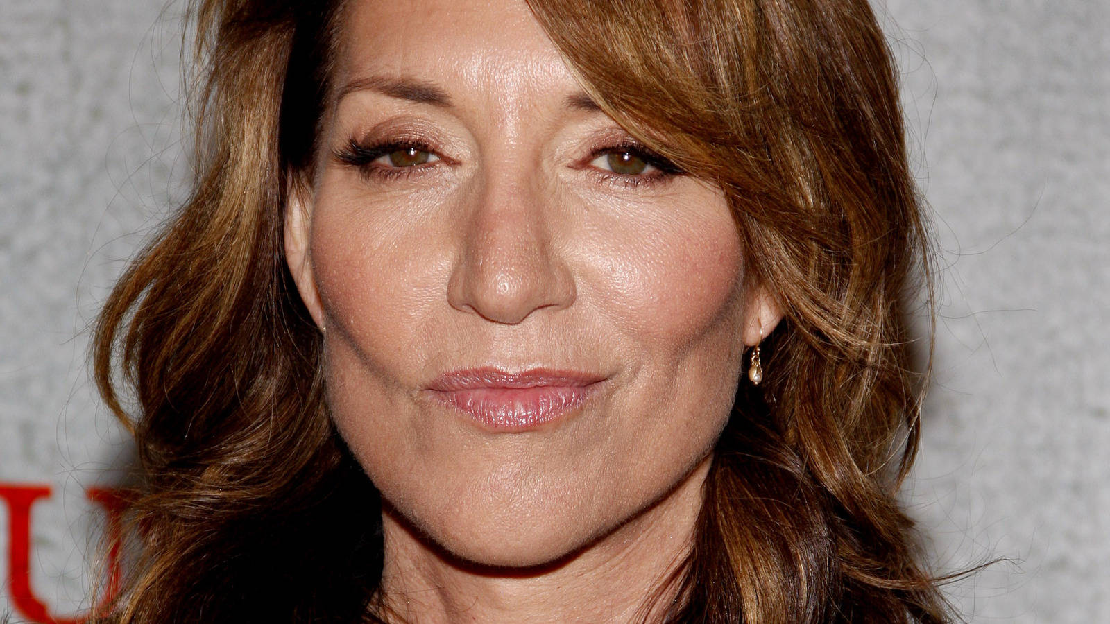 Globe-nominated Artist Katey Sagal Background