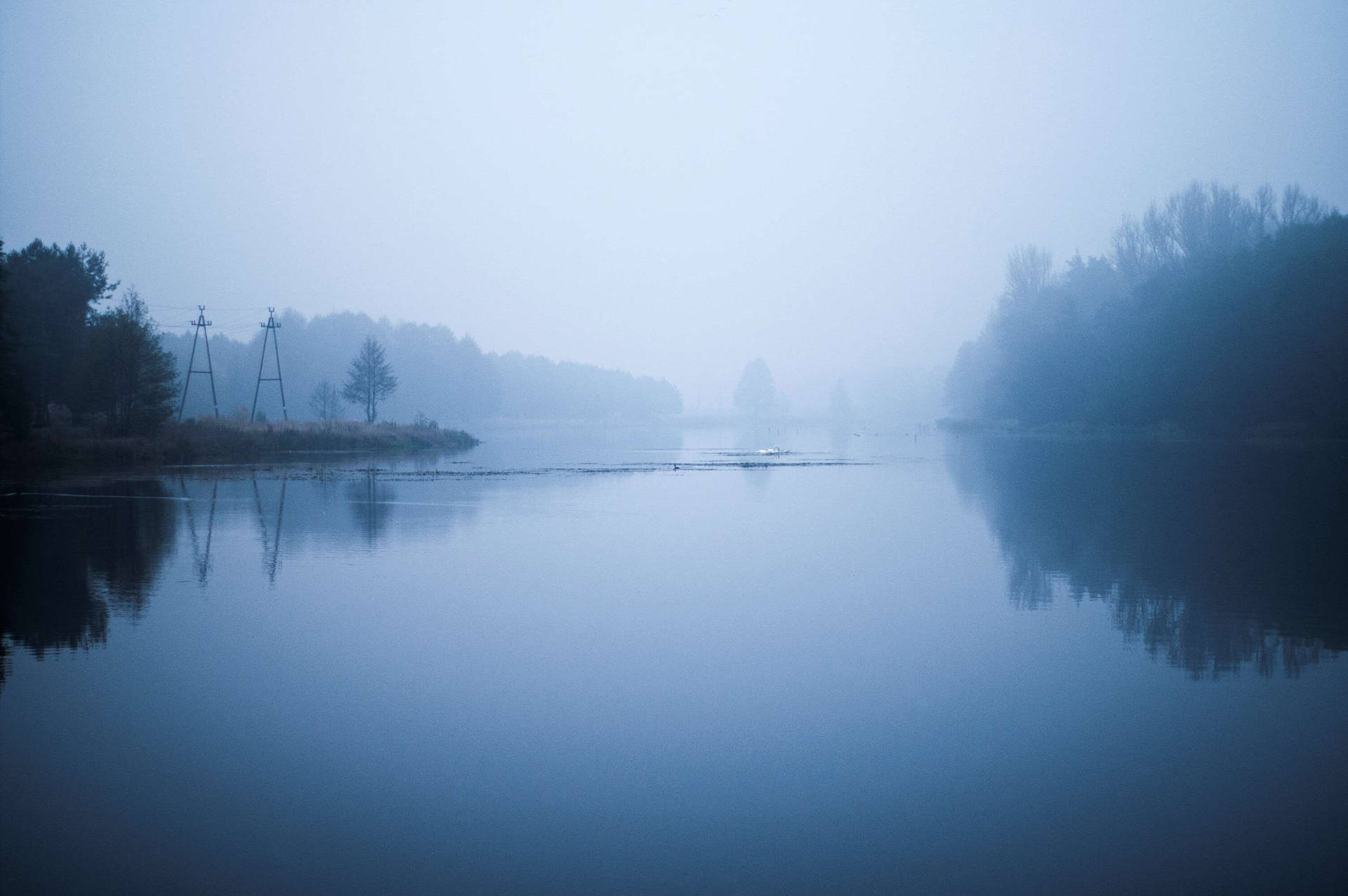 Gloomy And Foggy Forested Riverside