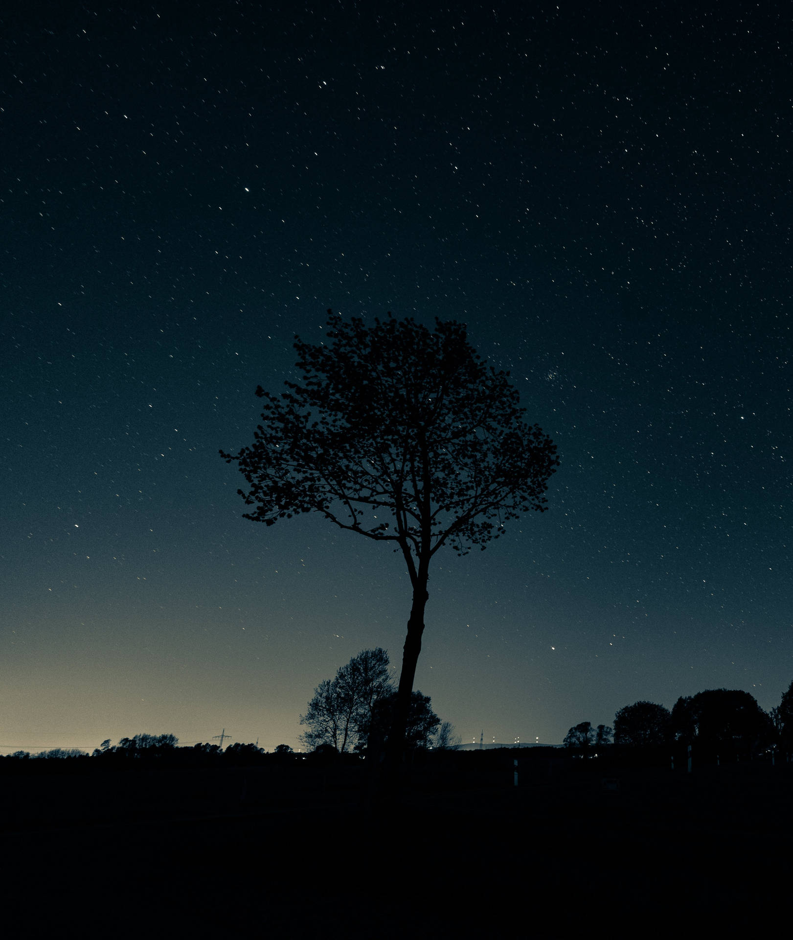 Gloomy Night Tree Picture Background