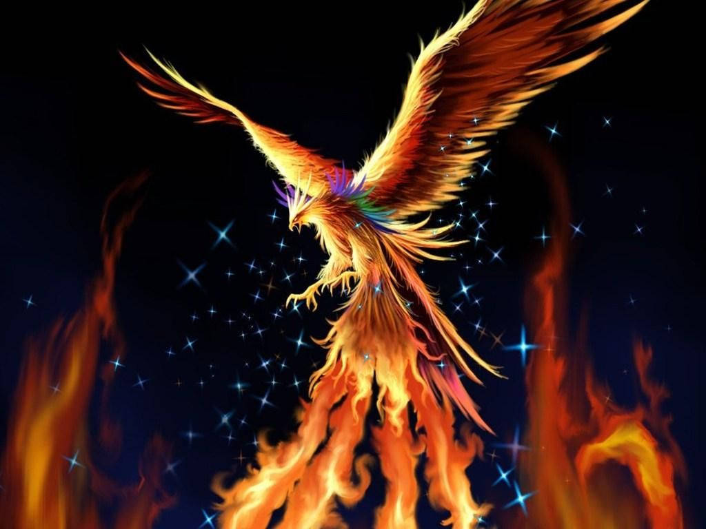 Glorious Phoenix Fire Wings Background