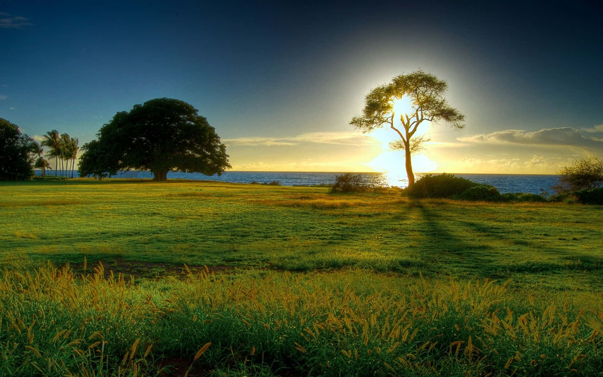 “glorious Sunrise” Background