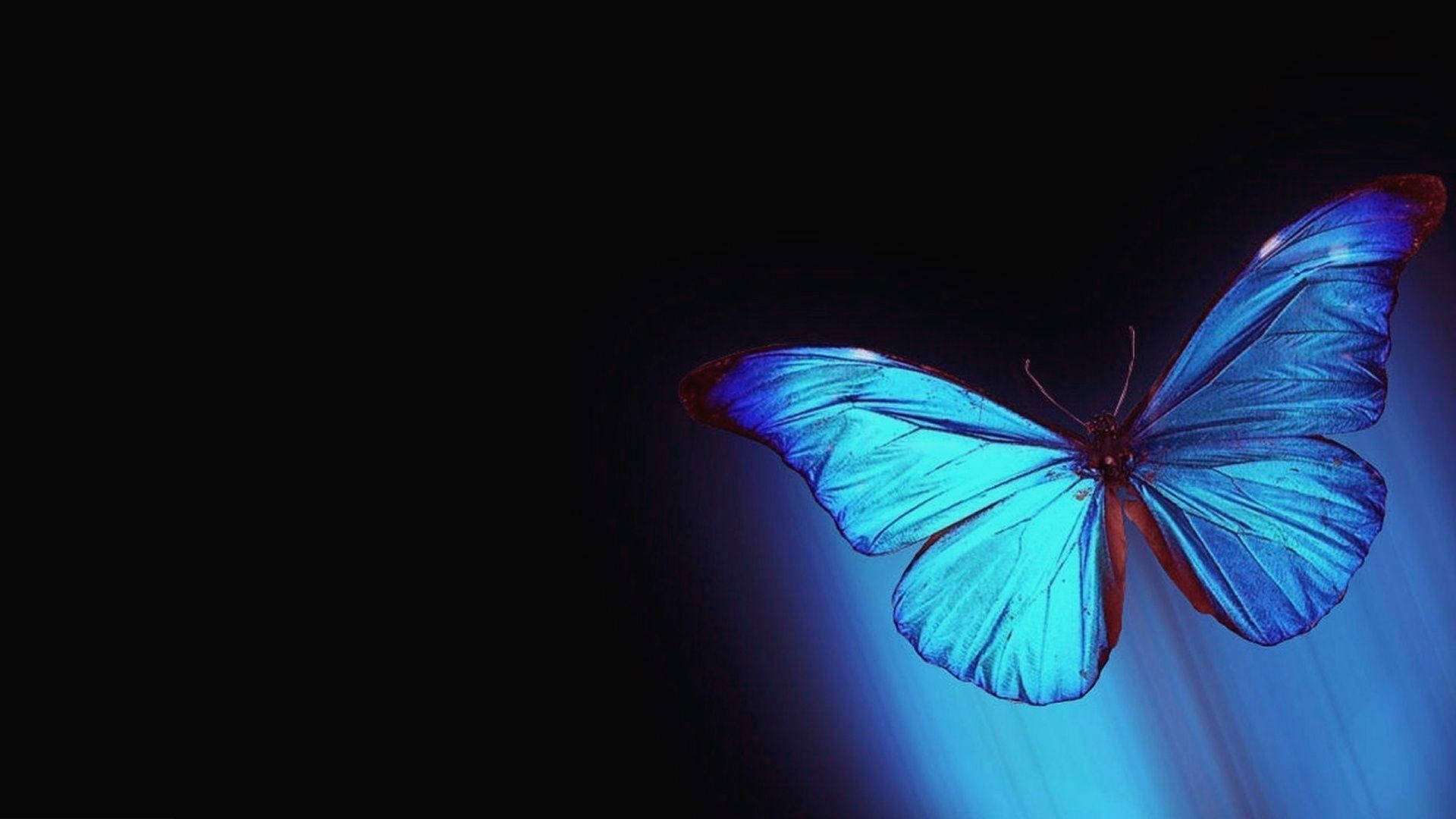 Glowing Blue Butterfly Aesthetic Background