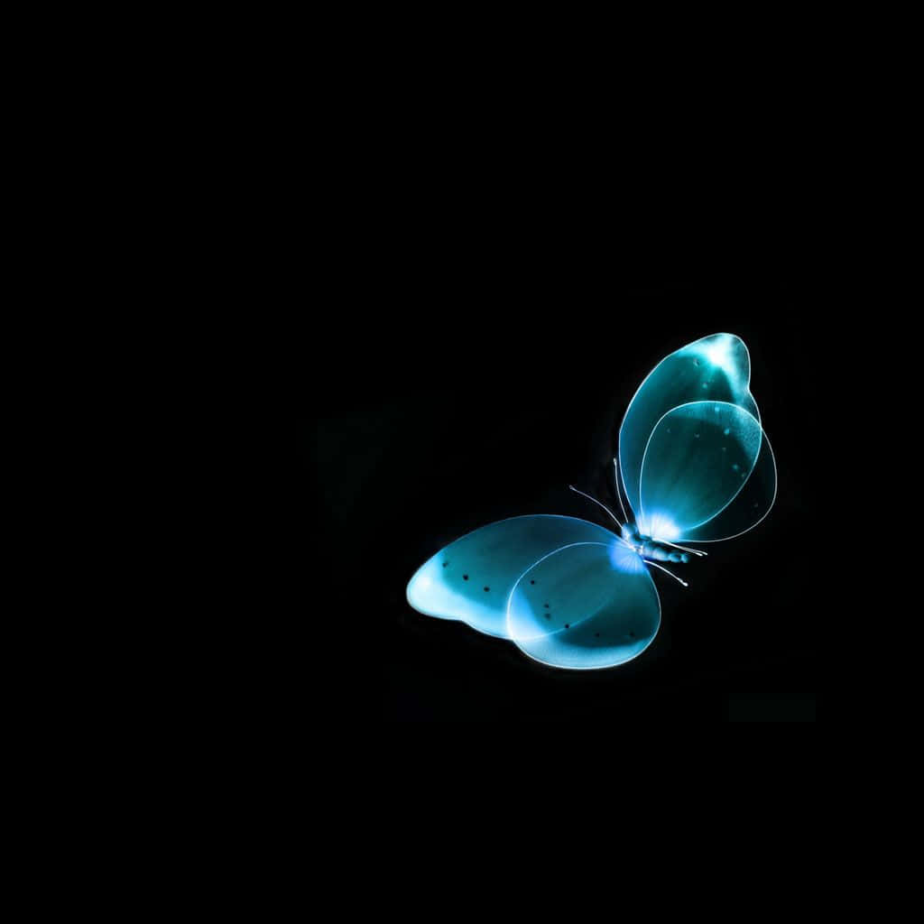 Glowing Blue Butterfly Dark Ipad Background