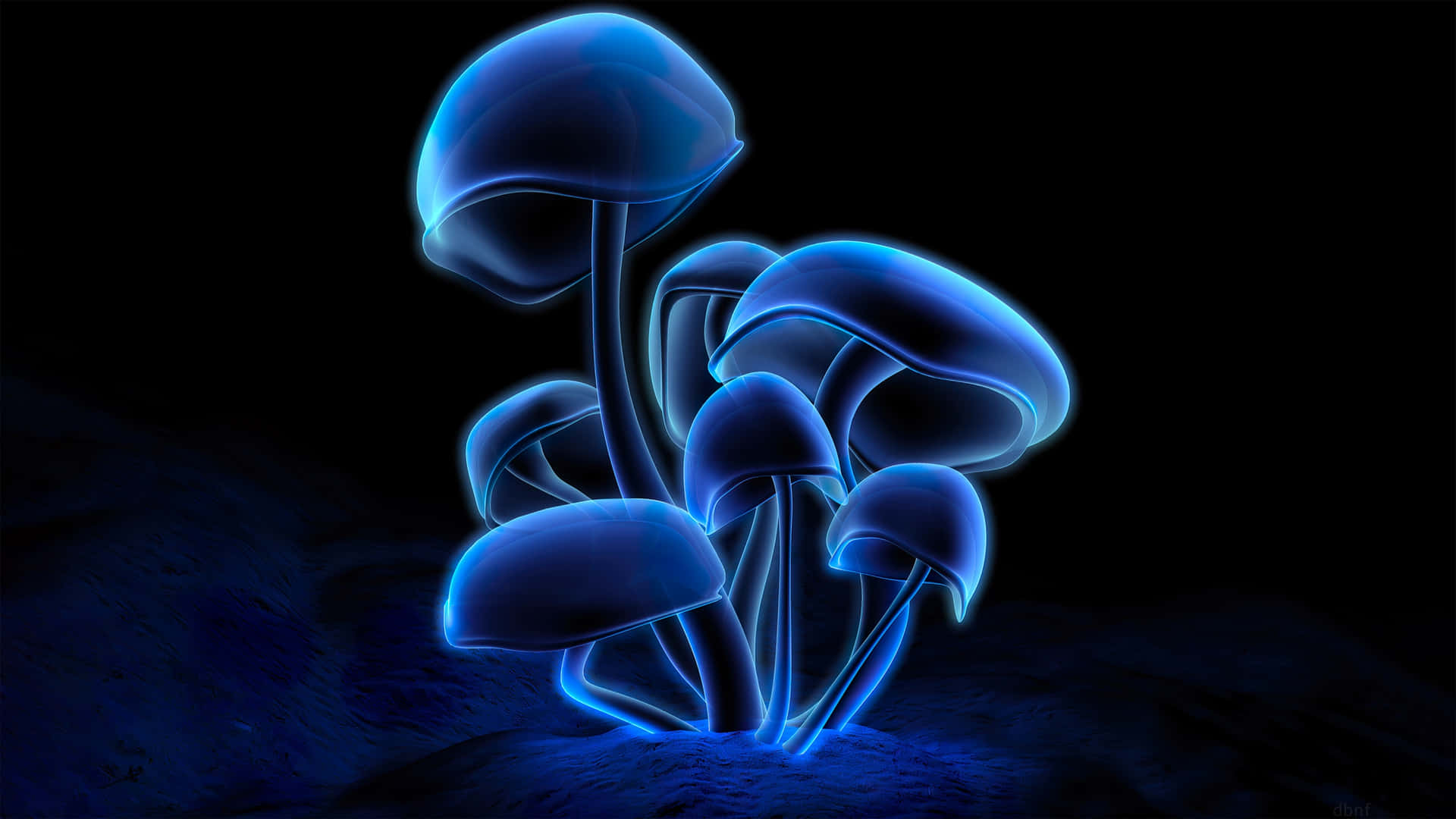 Glowing Blue Mushrooms Artwork