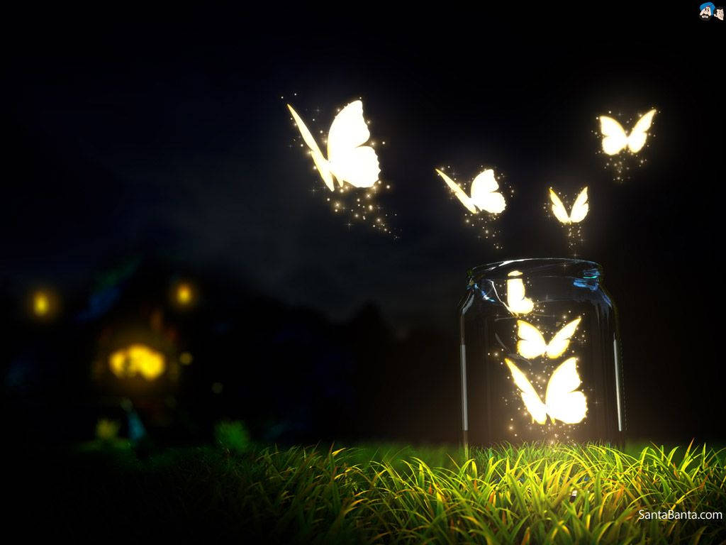 Glowing Butterflies In Jar Photography
