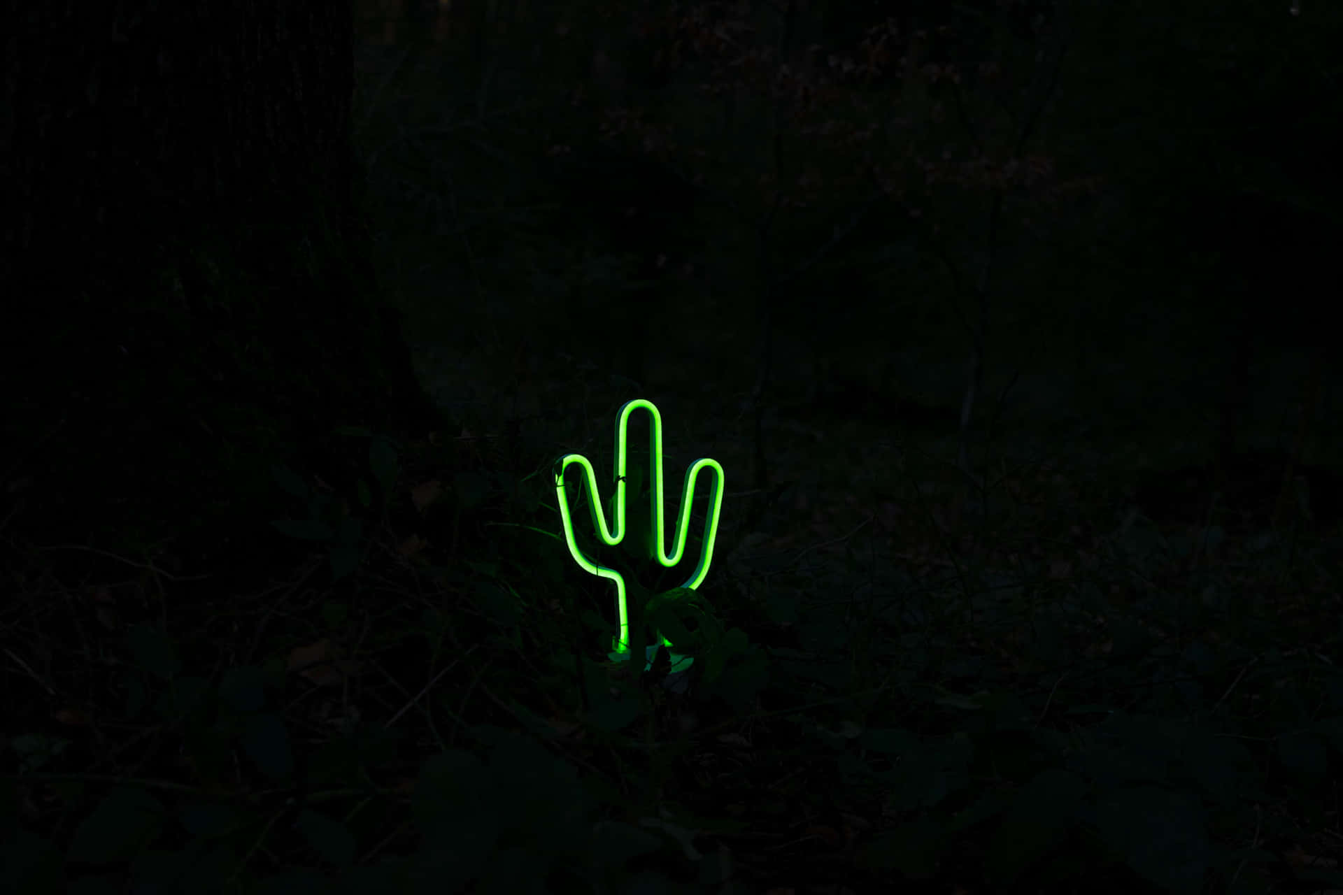 Glowing Cactus Neon Signin Dark Forest.jpg Background