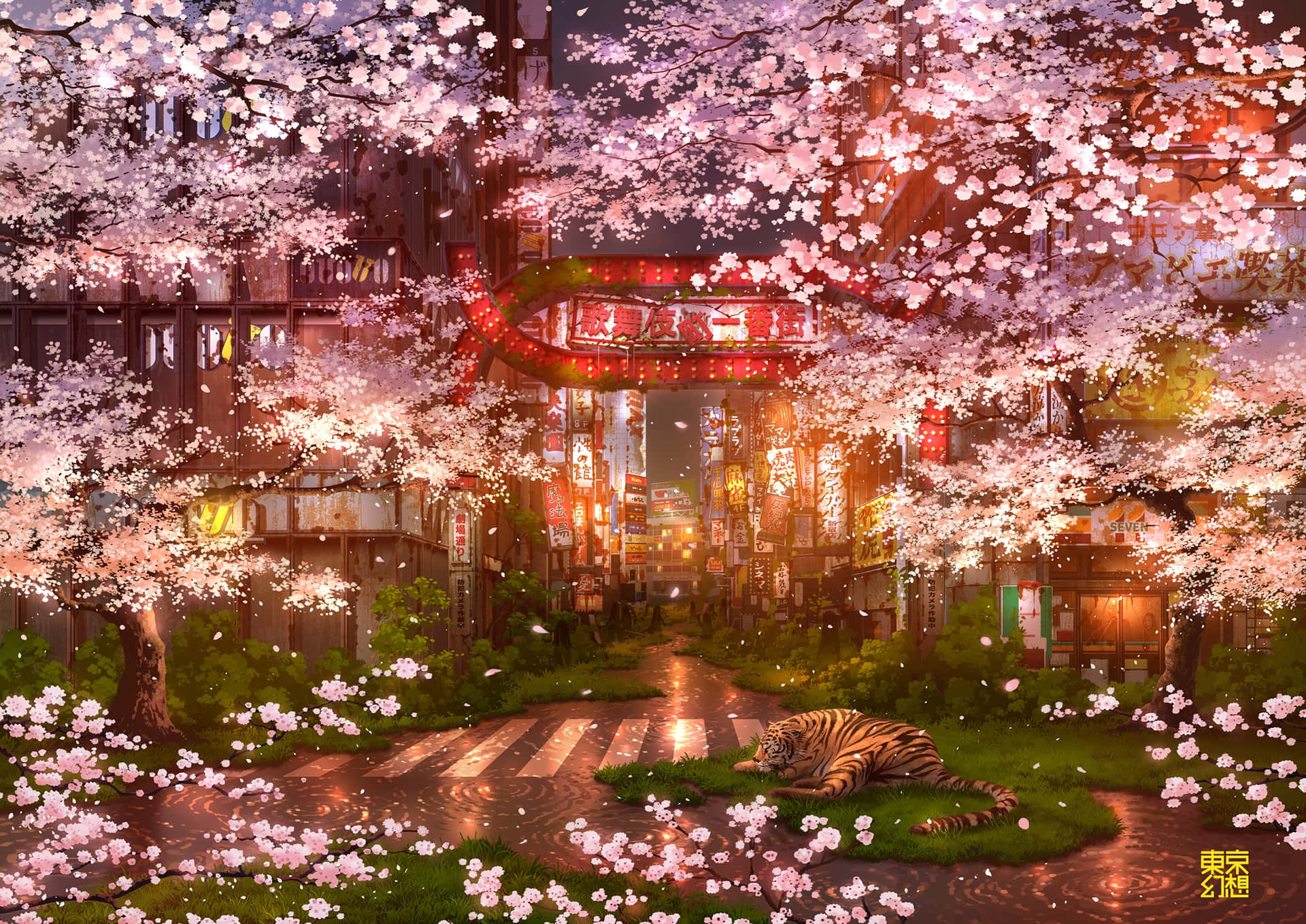 Glowing Cherry Blossom Tree In The Night. Background