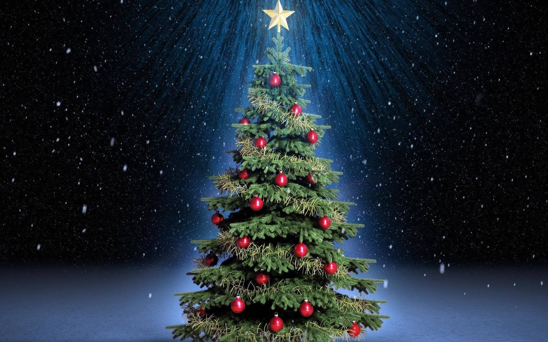 Glowing Christmas Tree Under Starry Sky Background