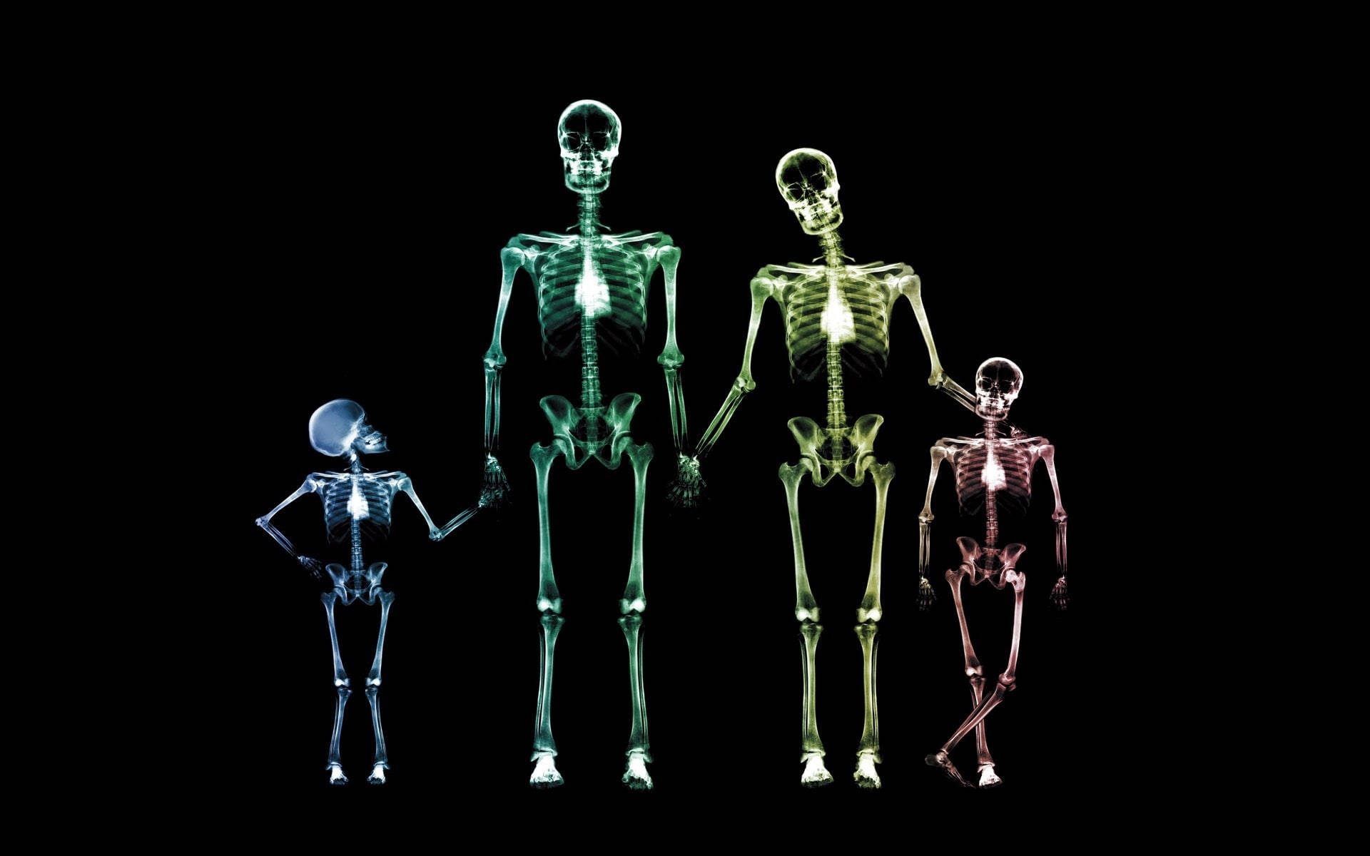 Glowing Family Skeleton Desktop