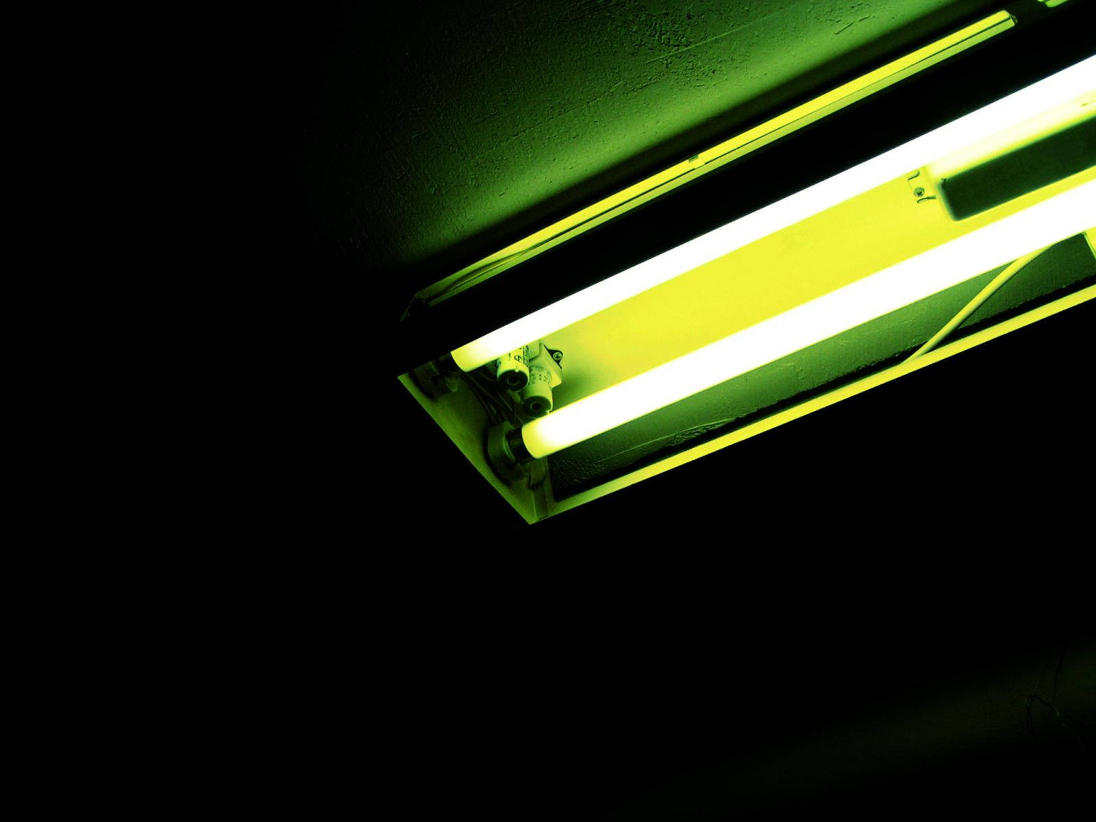 Glowing Fluorescent Light Bulbs