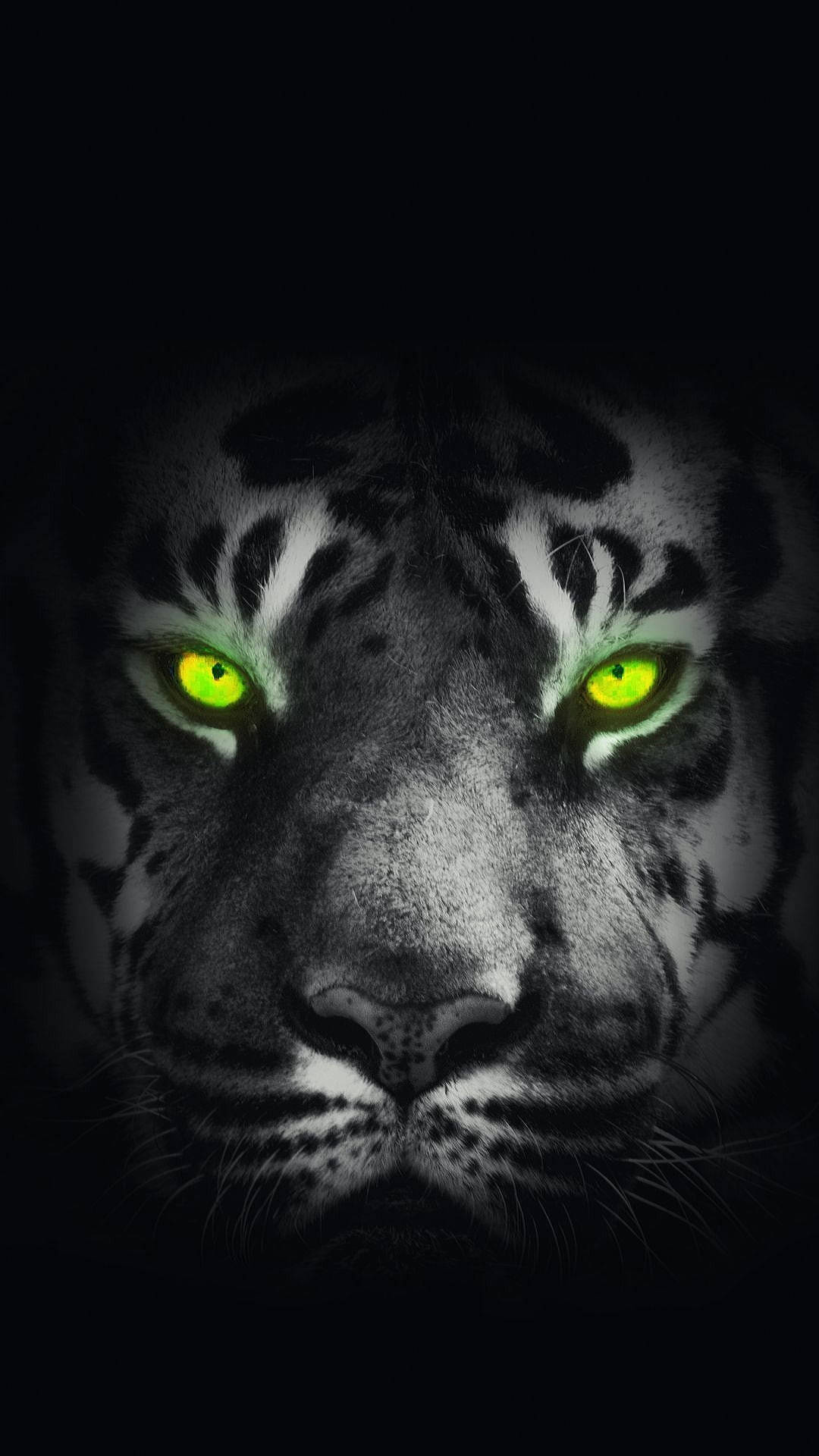 Glowing Green Eyes Of Black Tiger Background