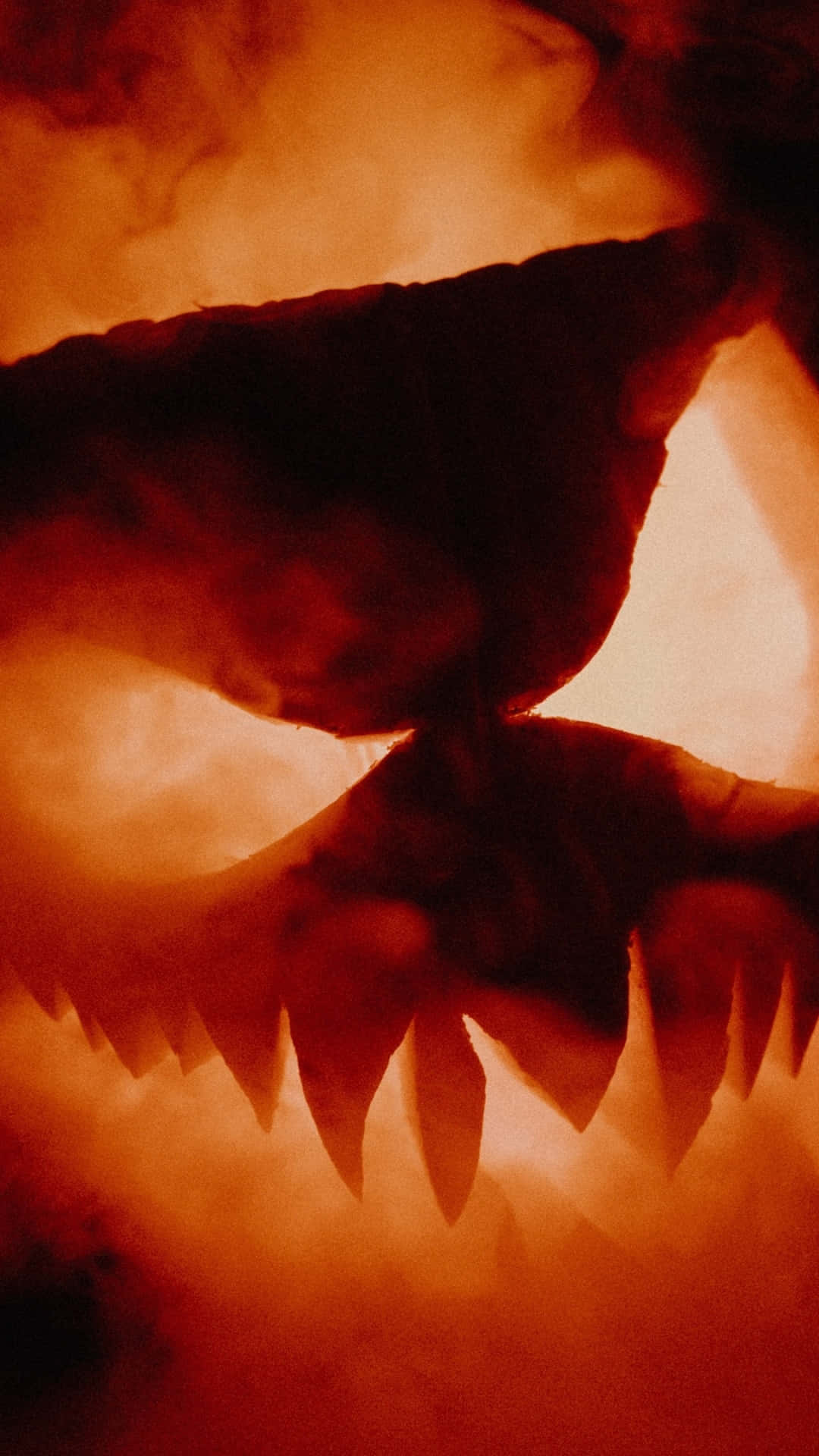 Glowing Halloween Pumpkin Jack O Lantern Background