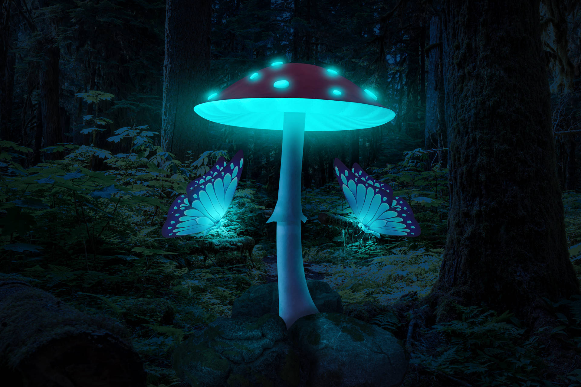 Glowing Mushroom And Night Butterfly Background