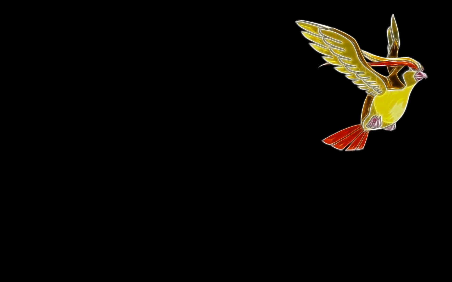 Glowing Pidgeotto Flying Background