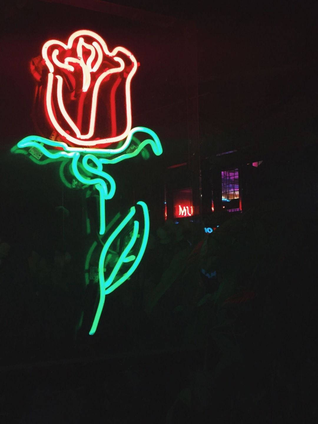 Glowing Rose Neon Aesthetic Iphone Background
