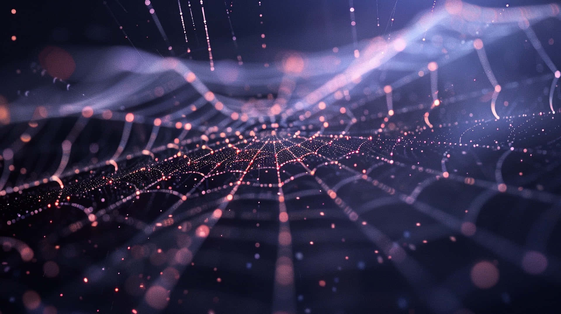 Glowing Spider Web Night Background