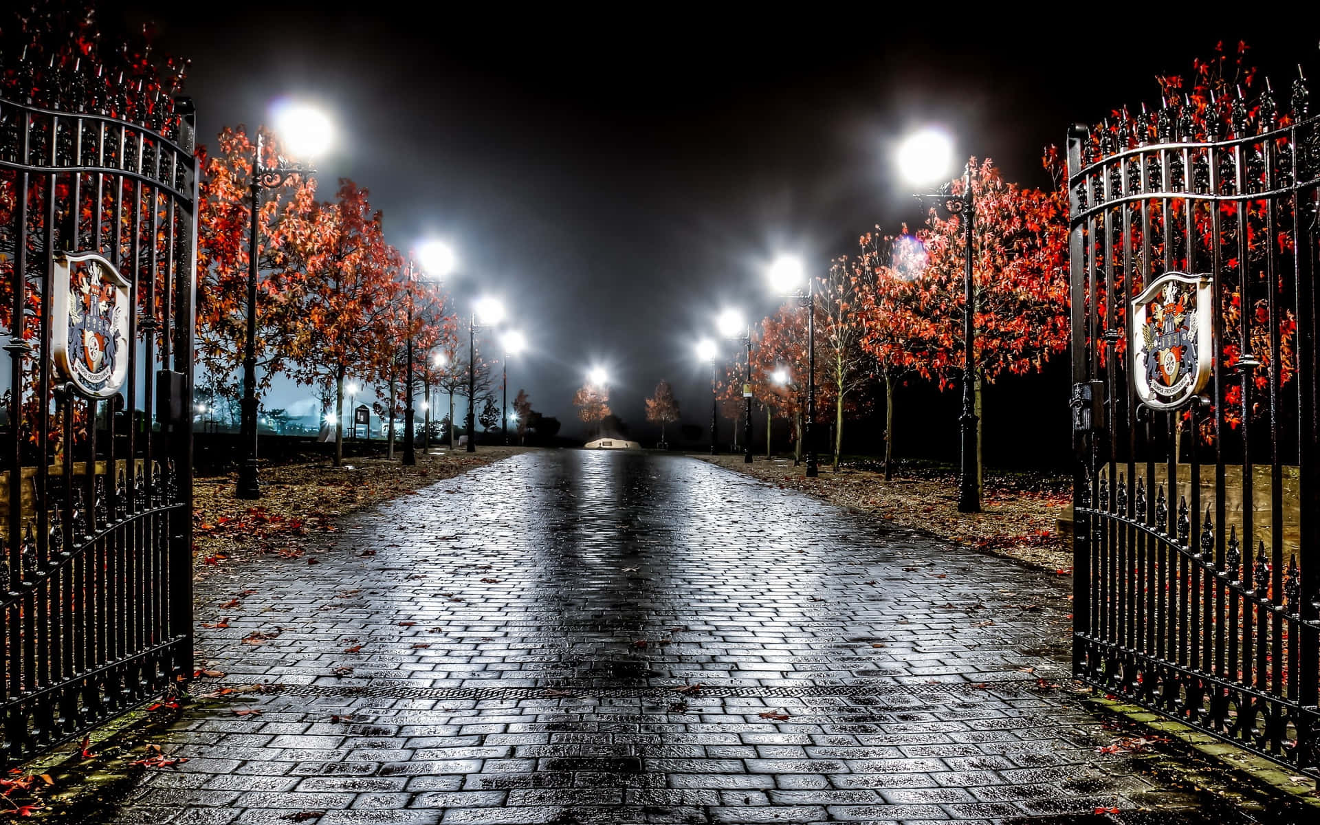 Glowing Street Light At Dusk Background