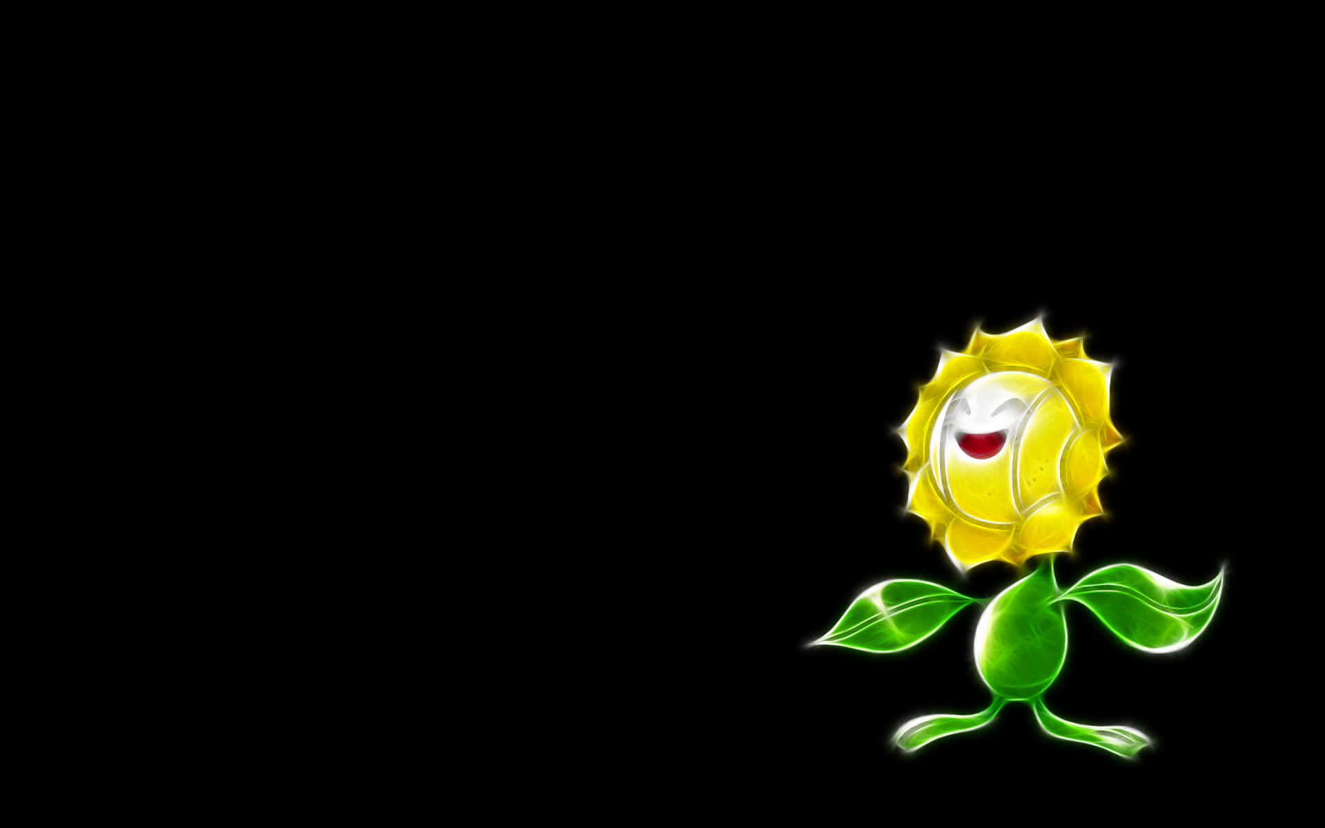 Glowing Sunflora On Black Background Background