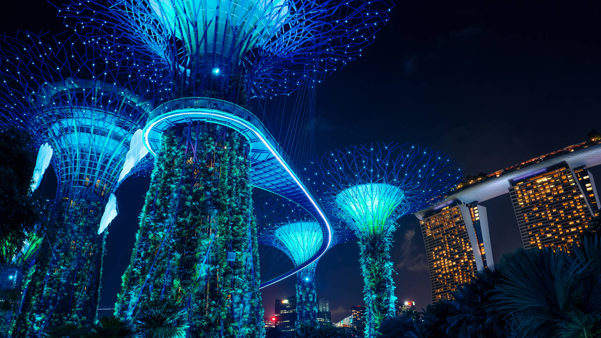 Glowing Supertrees In Singapore Background