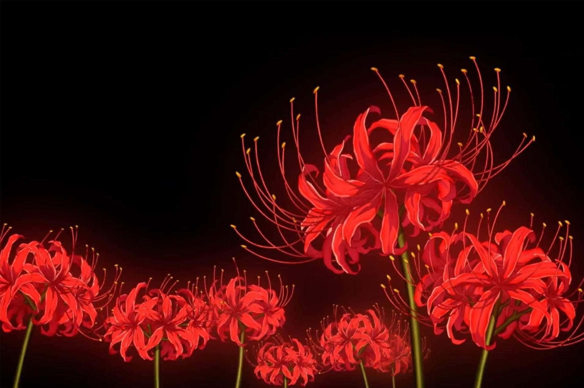 Glowing Tokyo Ghoul Flower Background