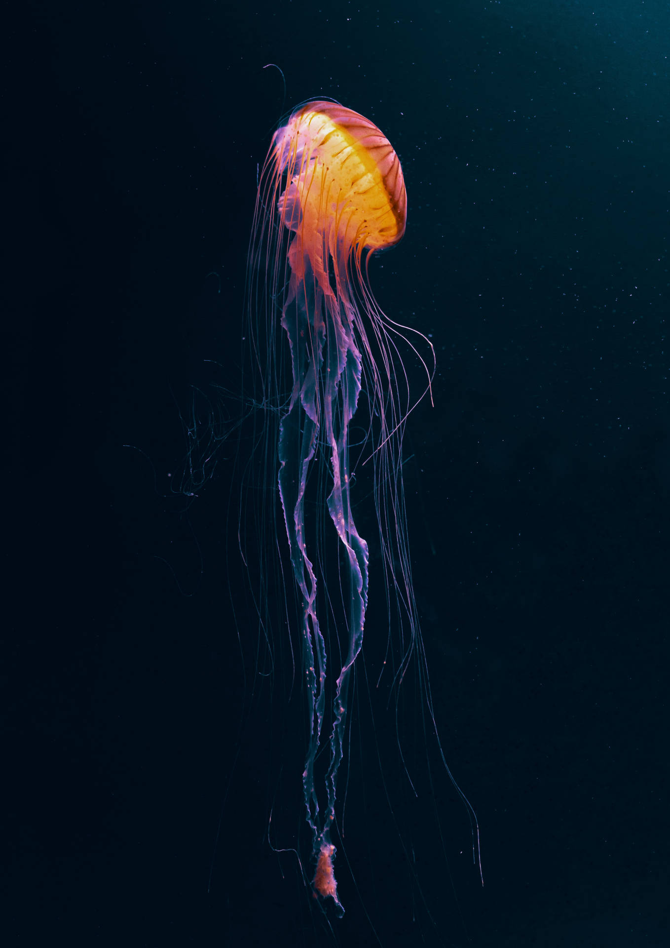 Glowing Underwater Creature Dark Anime Background