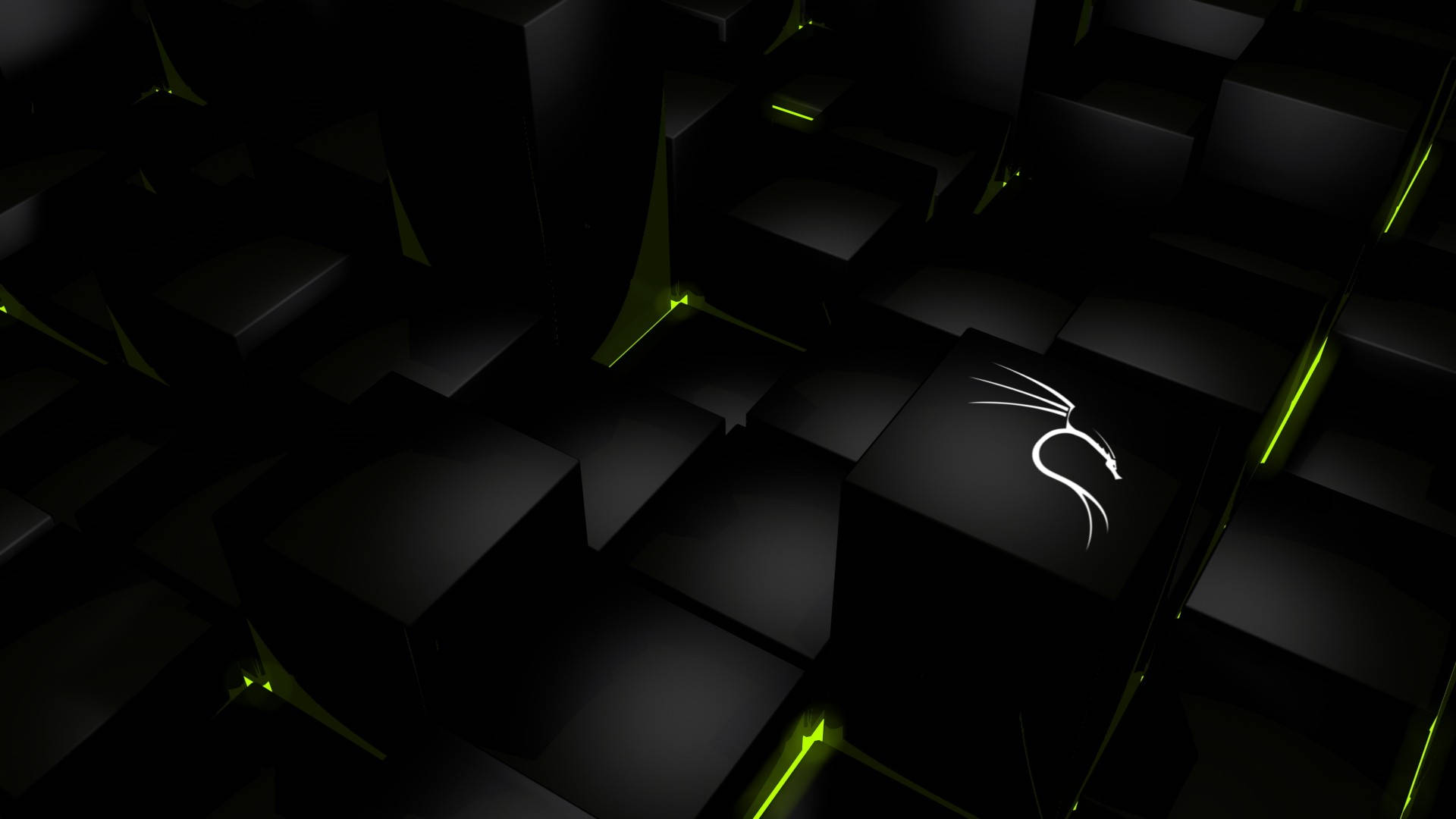 Glowing White Dragon Kali Linux Background