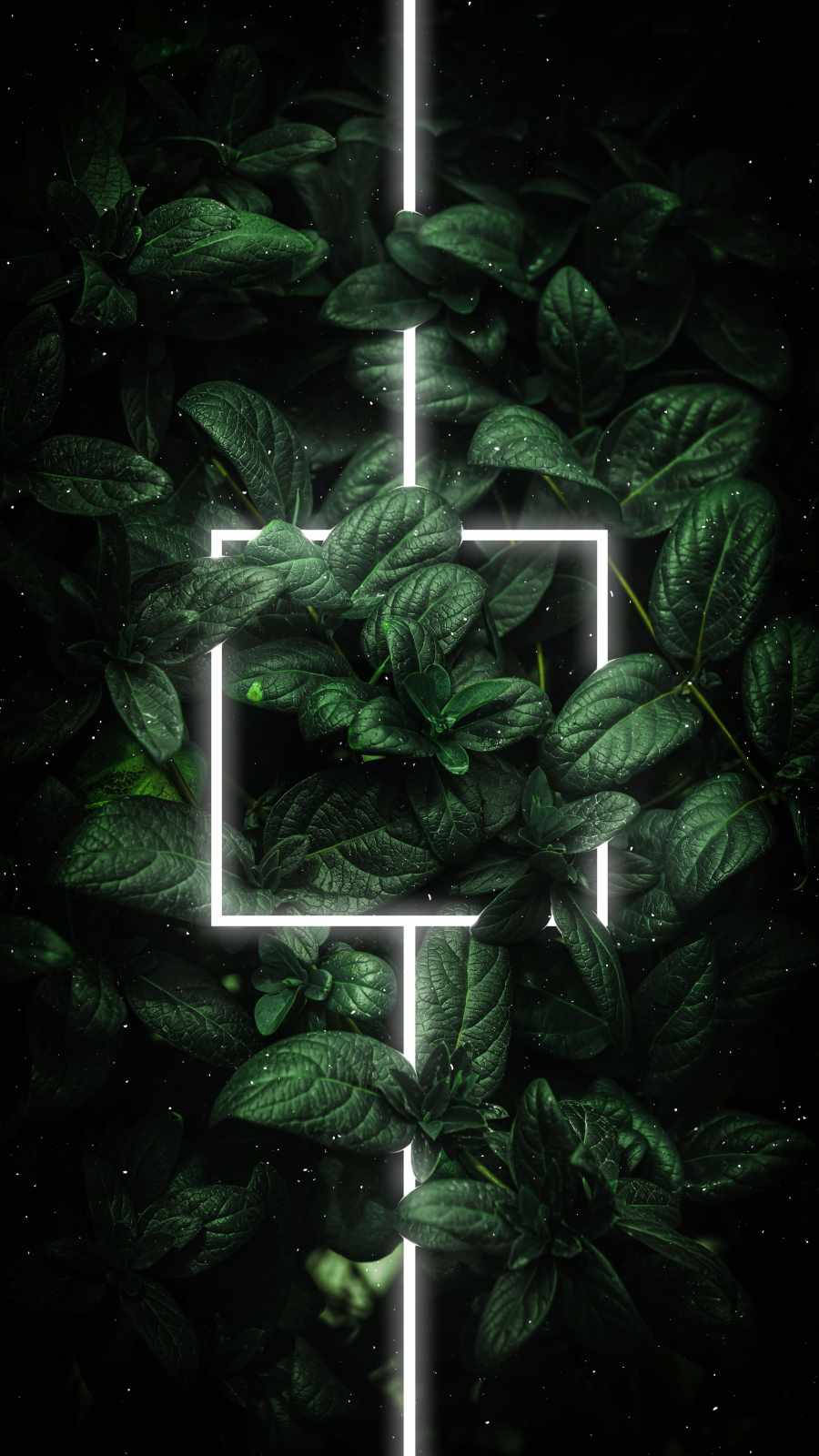 Glowing White Line On Leaves Green Iphone Background
