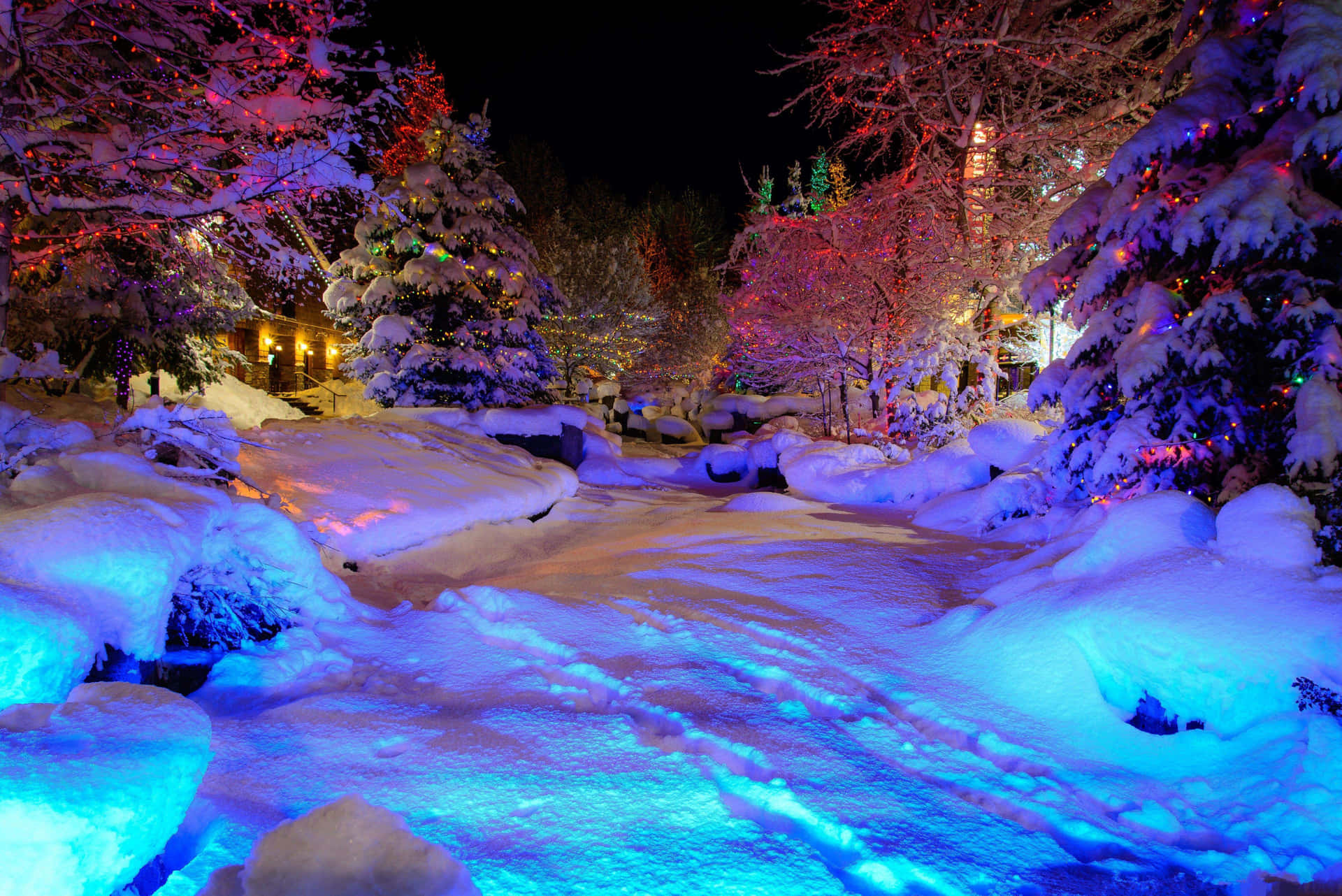 Glowing Winter Wonderland Desktop