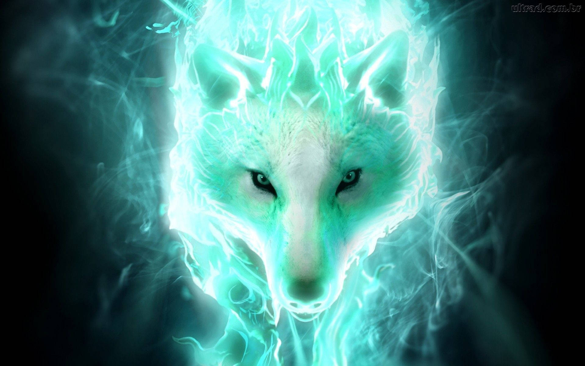 Glowing Wolf Wild Animal Background