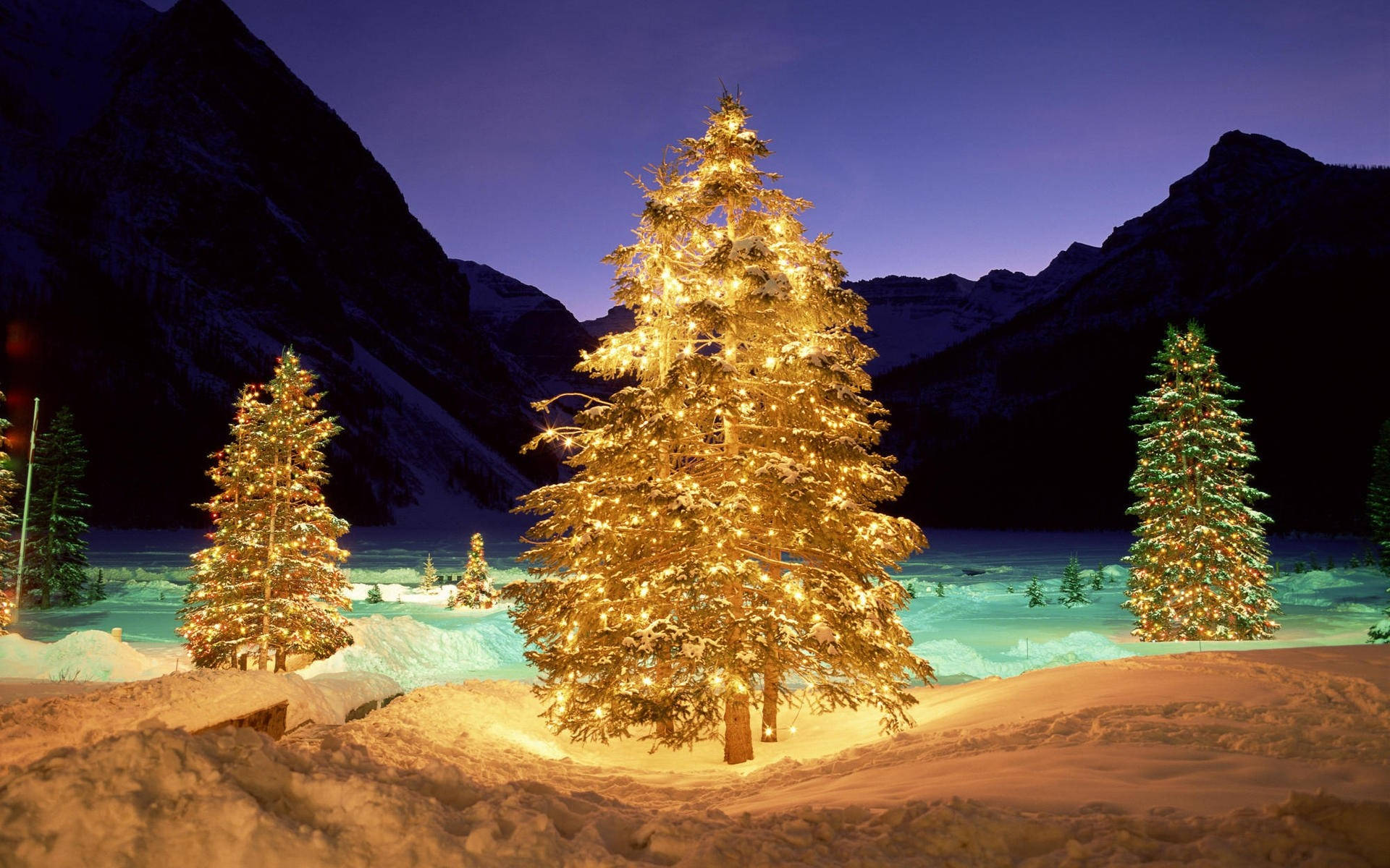 Glowing Yellow Trees In Christmas Forest Background