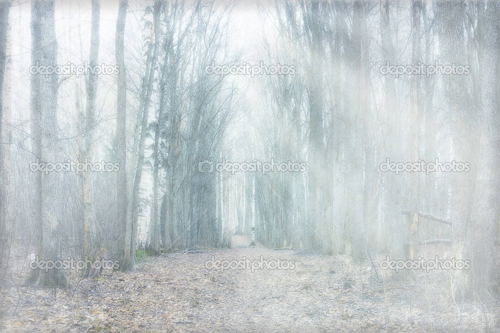 Go On A Journey Through The Mystical Forest Background