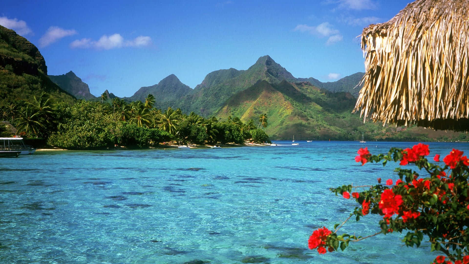 Go On The Adventure Of A Lifetime With The Best Travel Desktop Technology Background