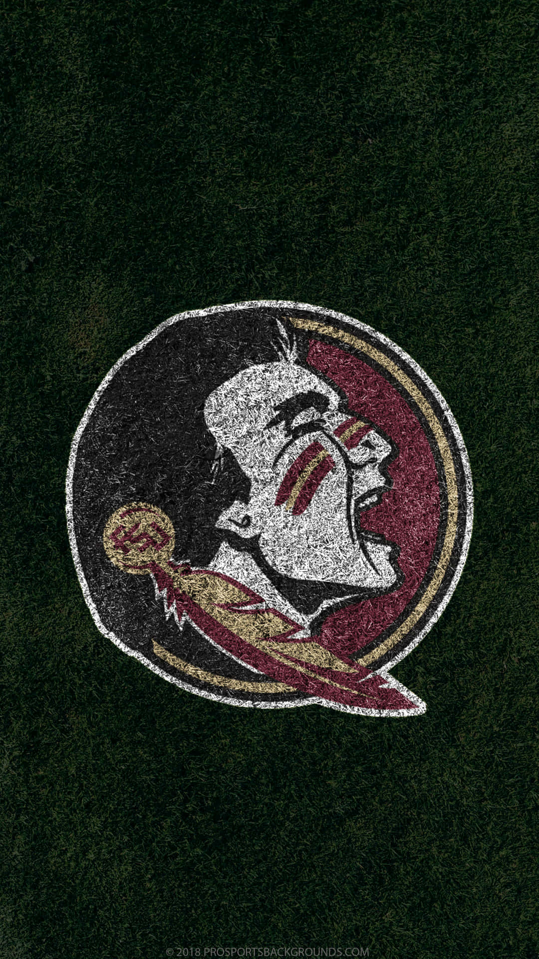 Go Seminoles! Background