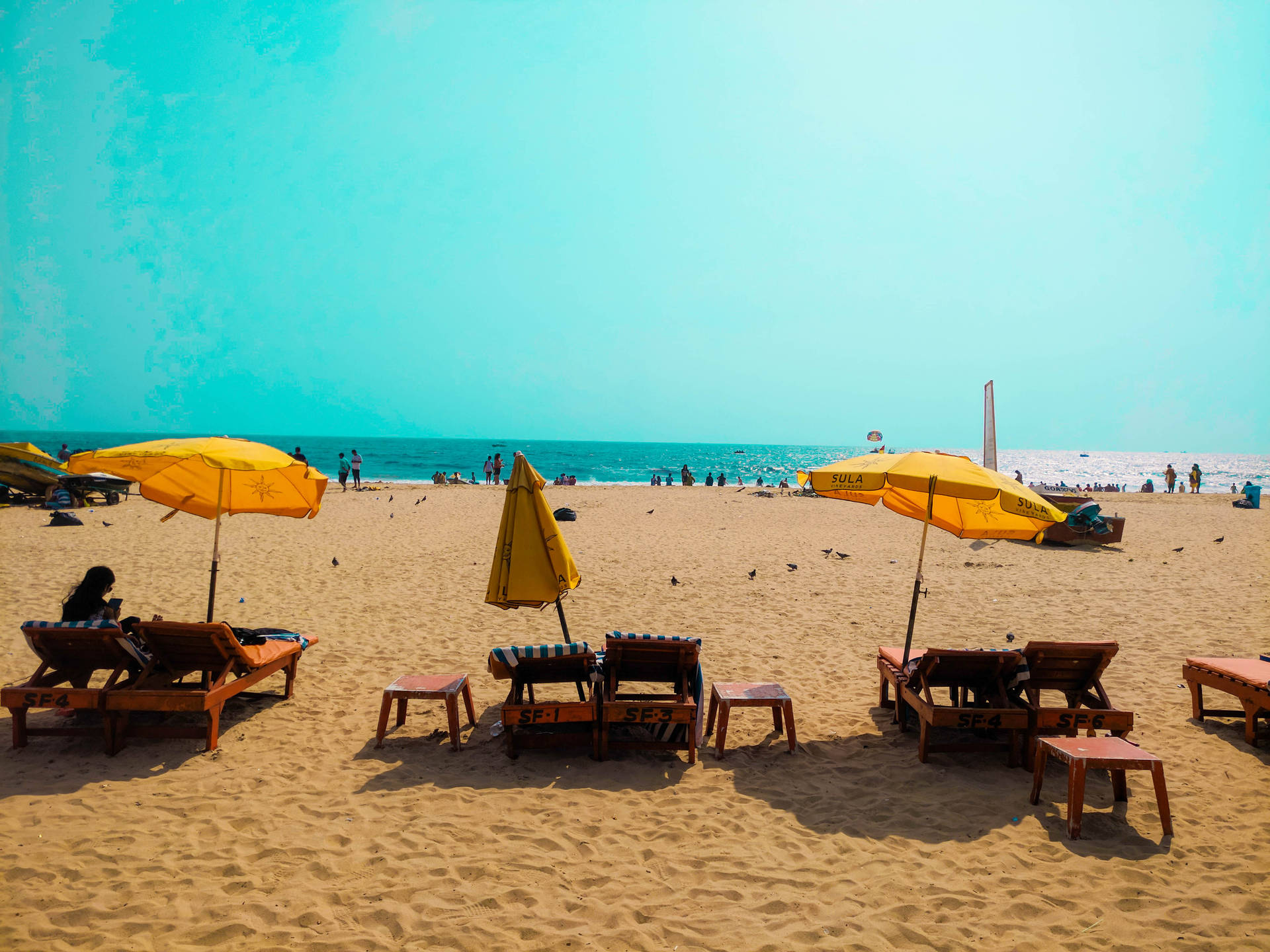 Goa India Yellow Umbrellas Background