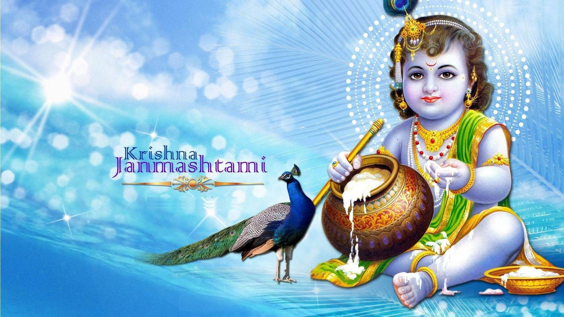 God Full Hd Krishna Janmashtami Background