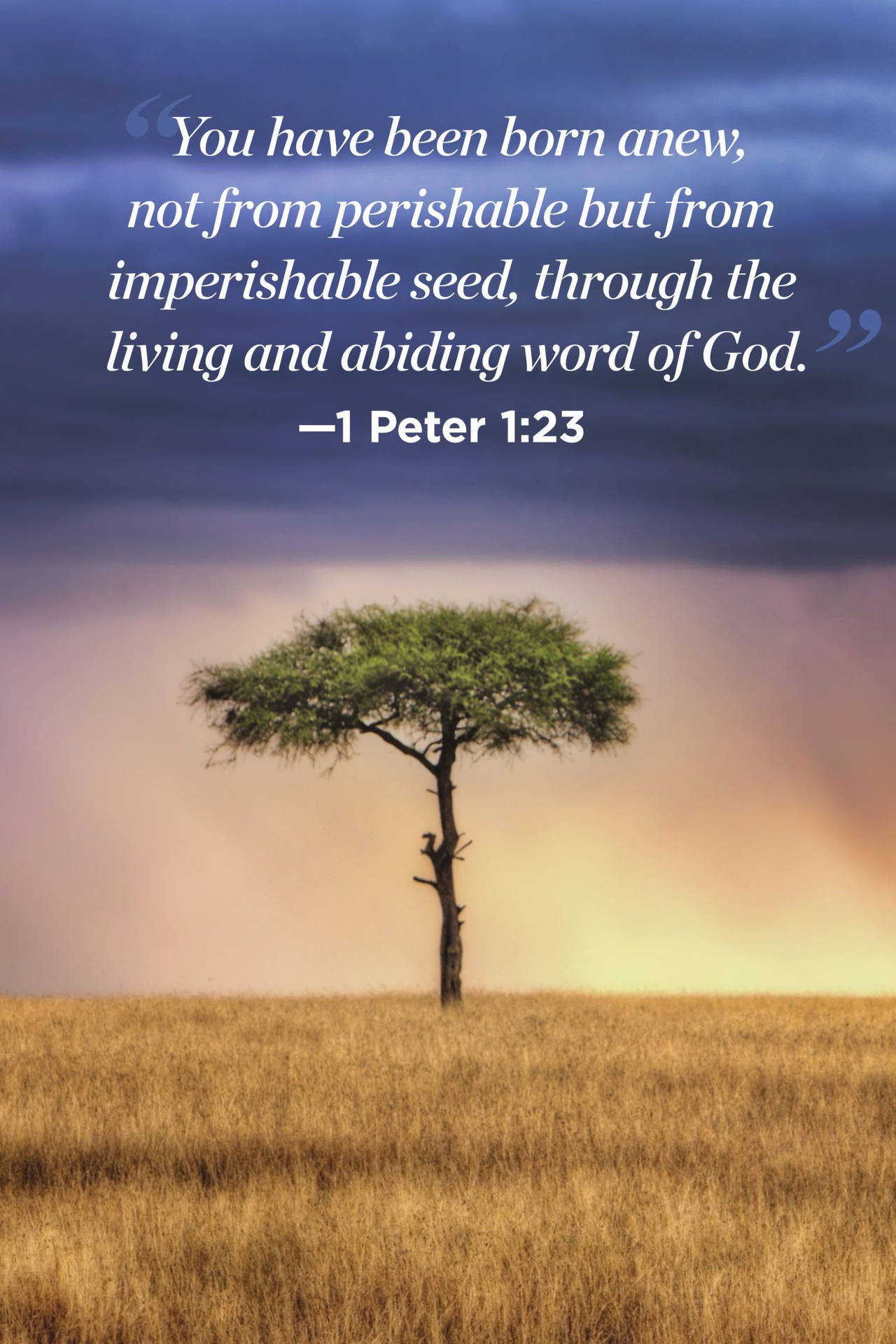 God Quotes Peter 1:23 Background