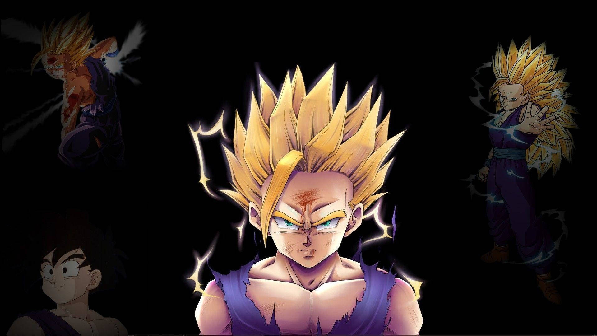 Gohan In Different Forms Background