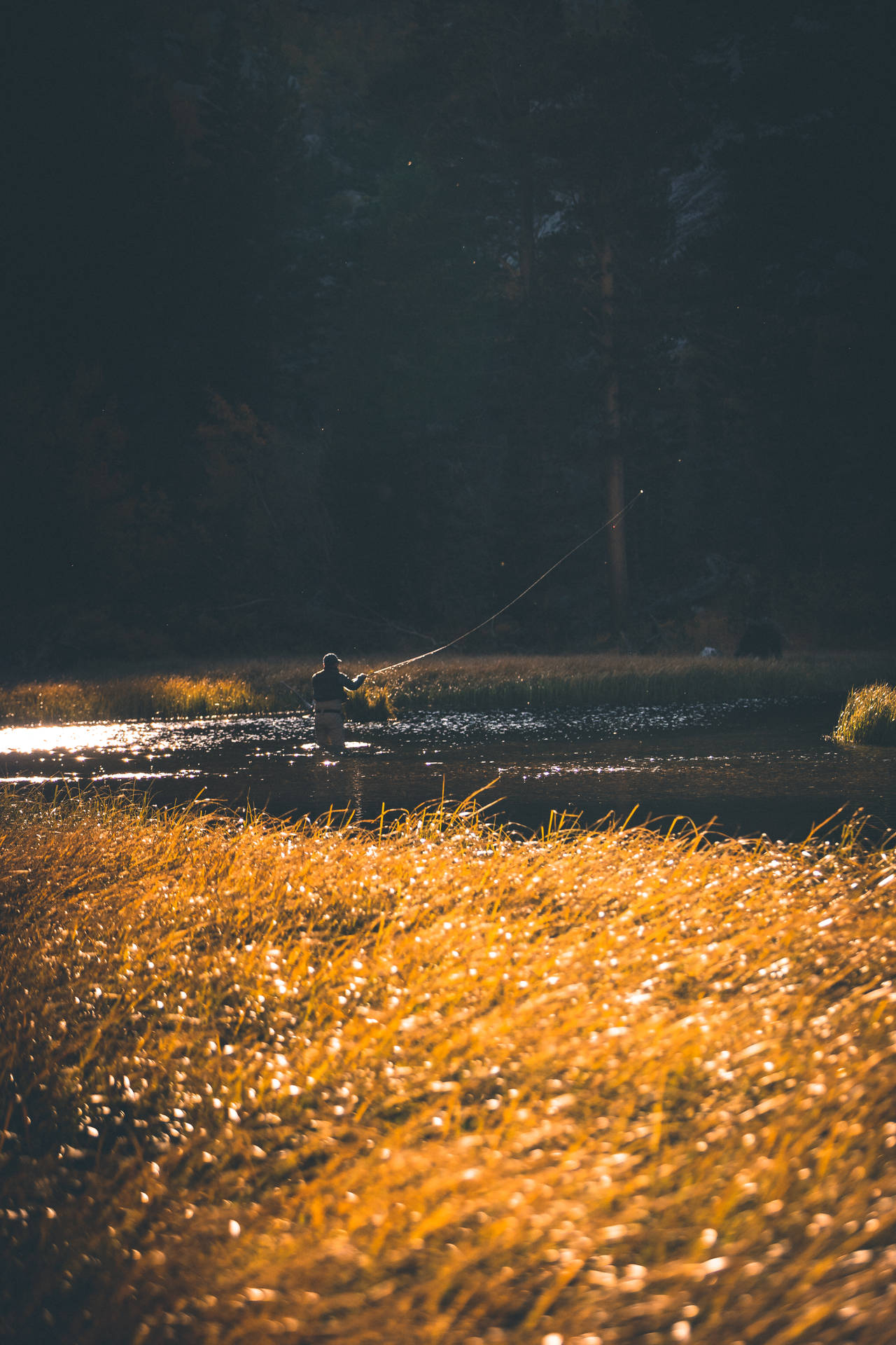 Going Solo For A Fishing Excursion In A Clear Mountain Stream. Background