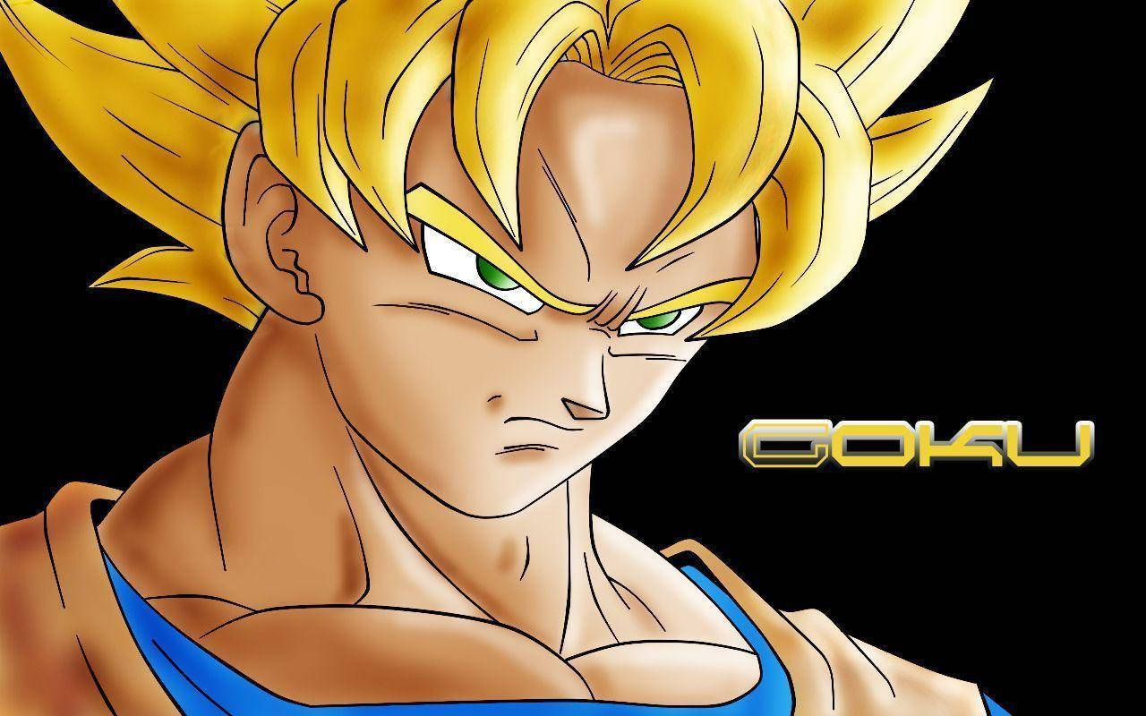Goku 1280 X 800 Background